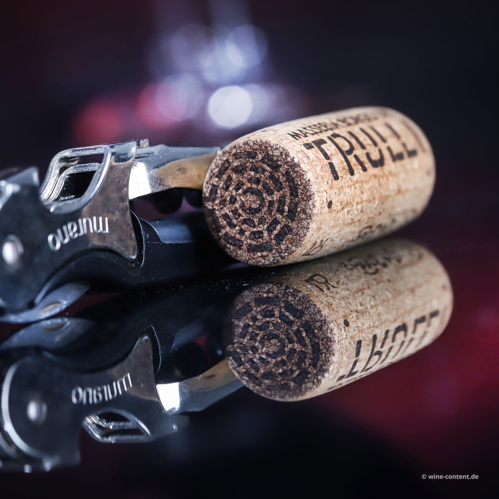 Primitivo Appassimento 2023 Lucale Primitivo Appassimento 2023 Lucale