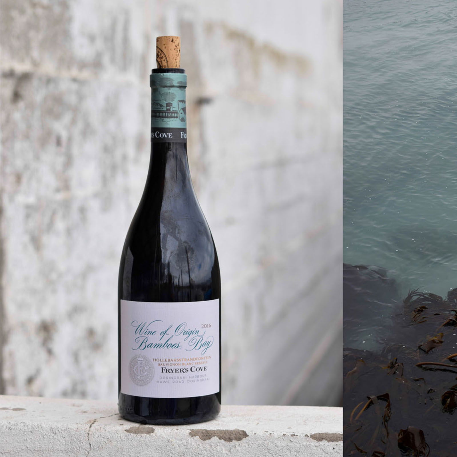 Fryer's Cove Pinot Noir 2019 Bamboes Bay