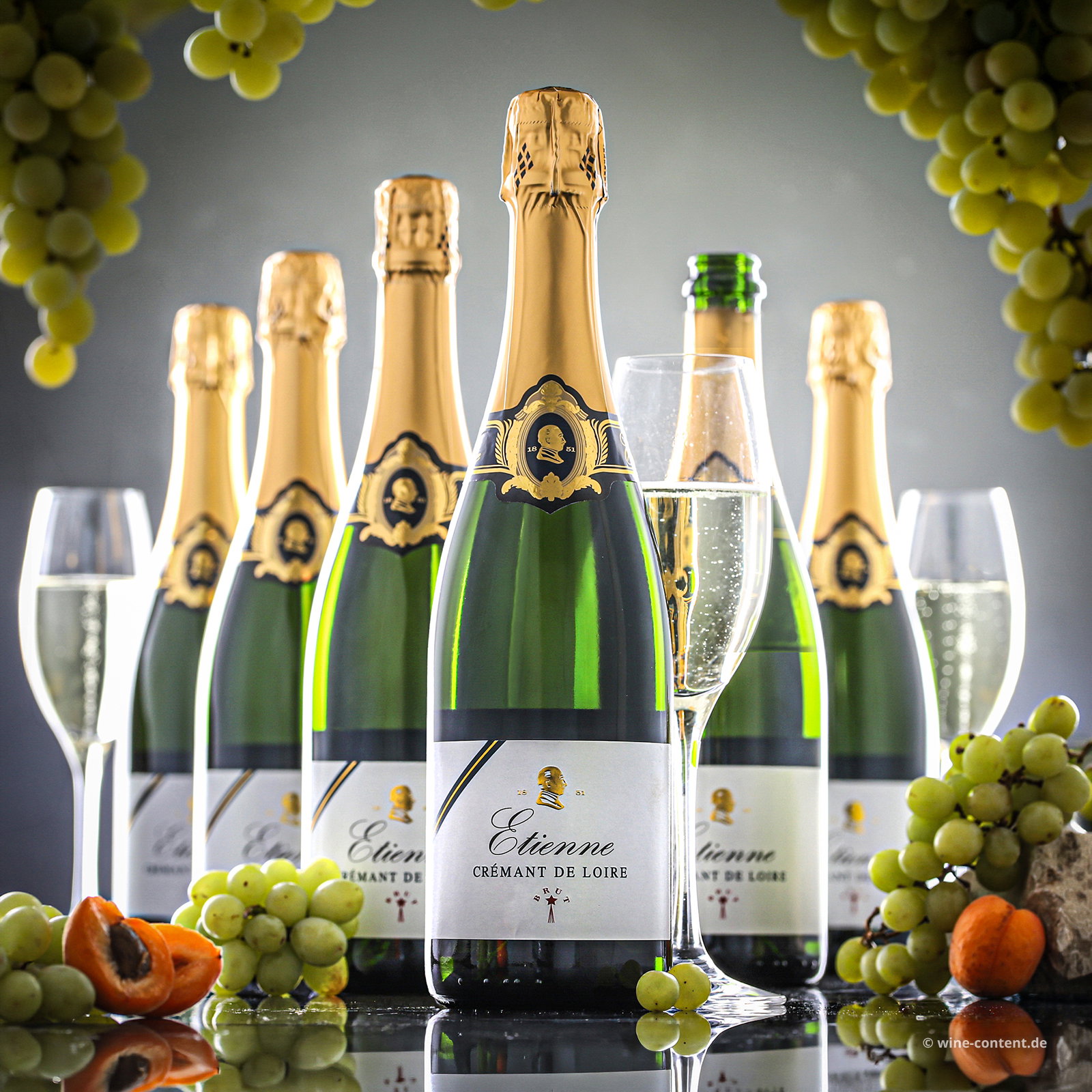 6er-Sparpaket Crémant de Loire Etienne Brut