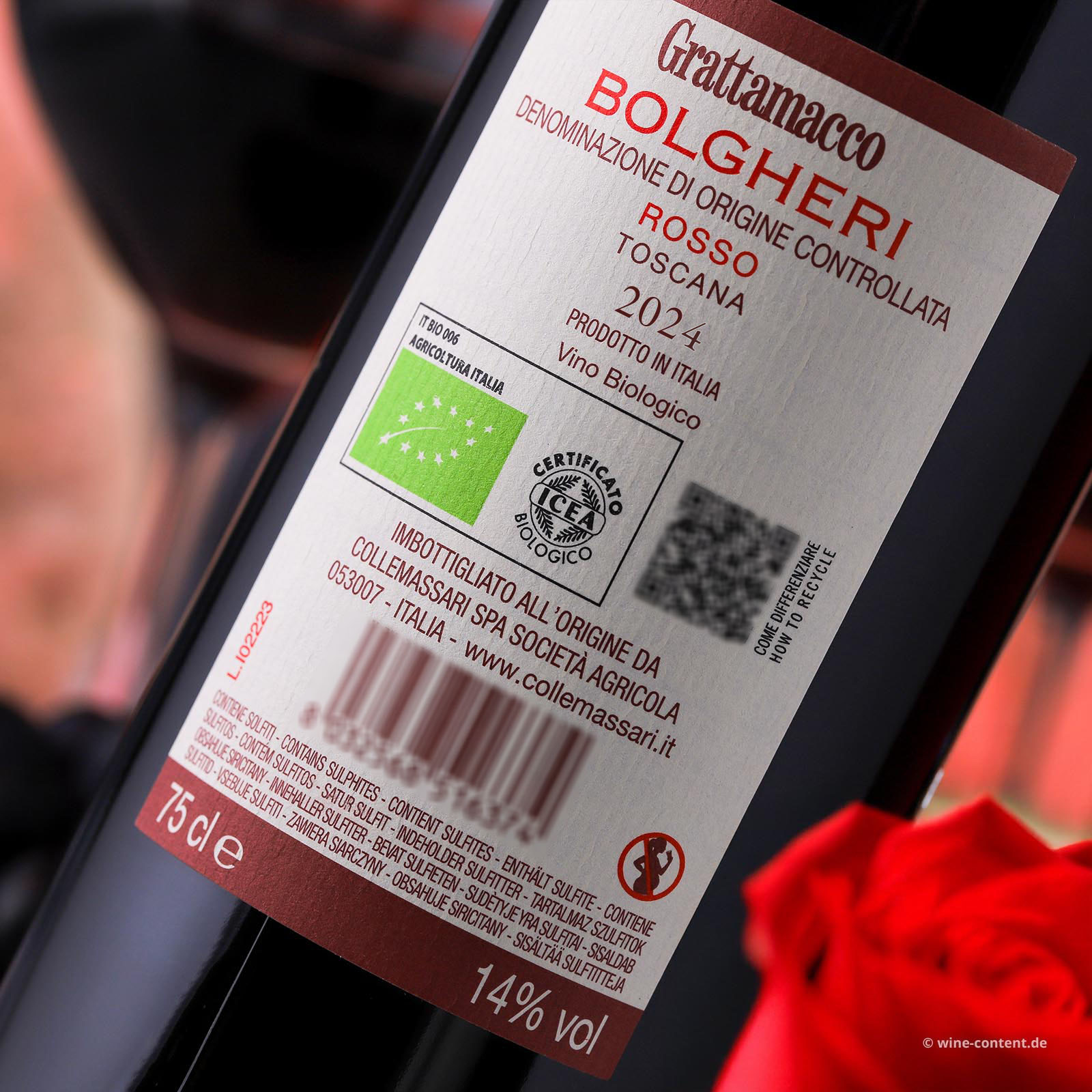 Bolgheri Rosso 2024 Bio