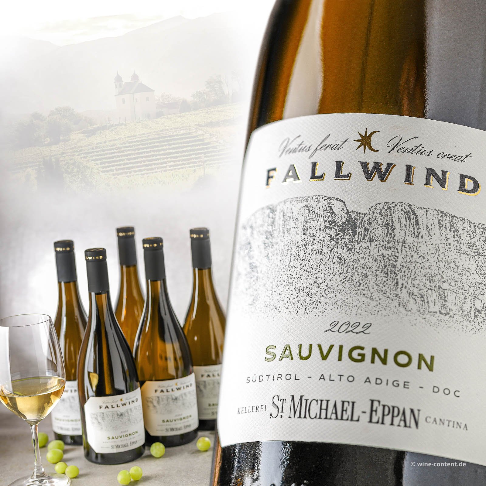 6er-Sparpaket Sauvignon Blanc 2022 Fallwind