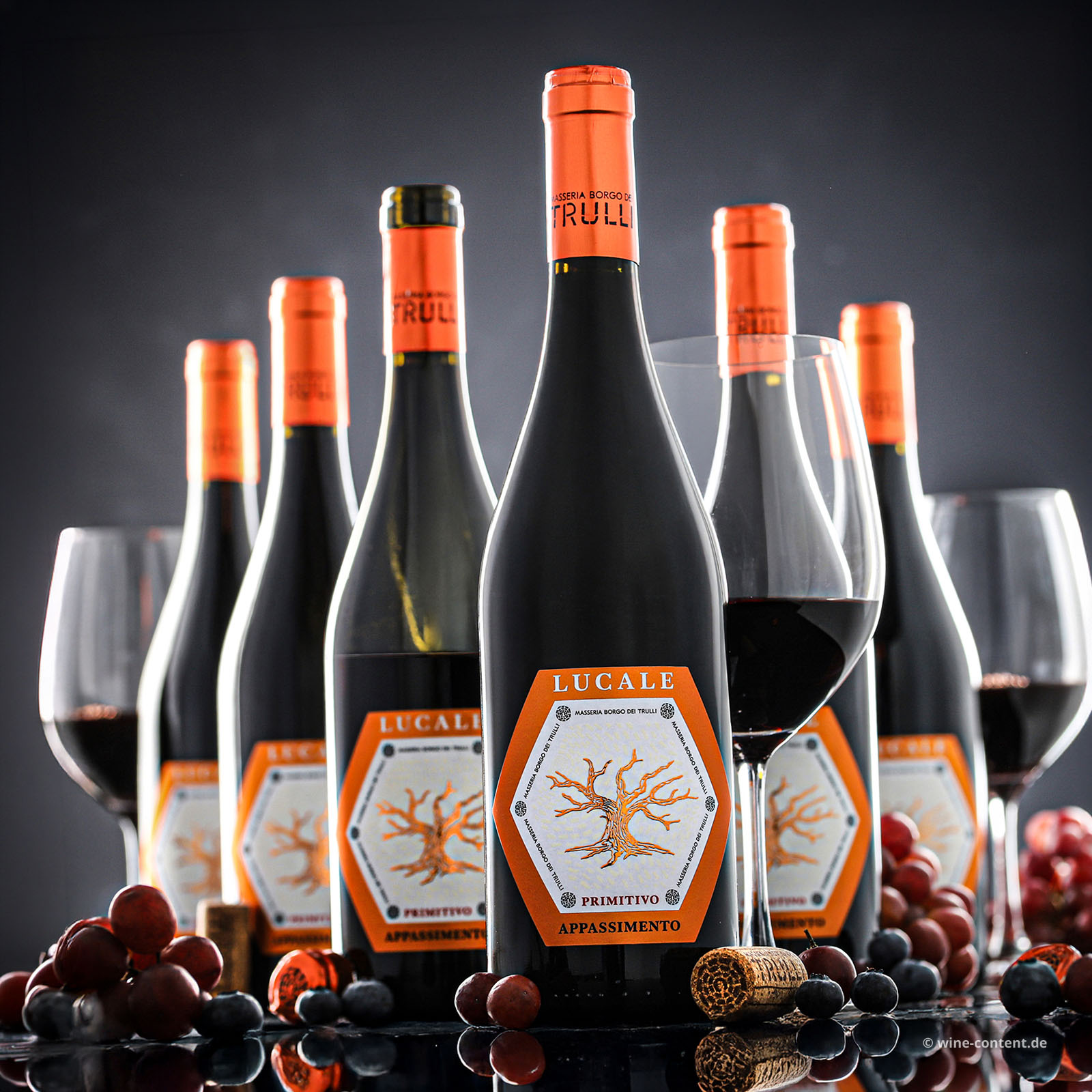 6er-Sparpaket Primitivo Appassimento 2024 Lucale