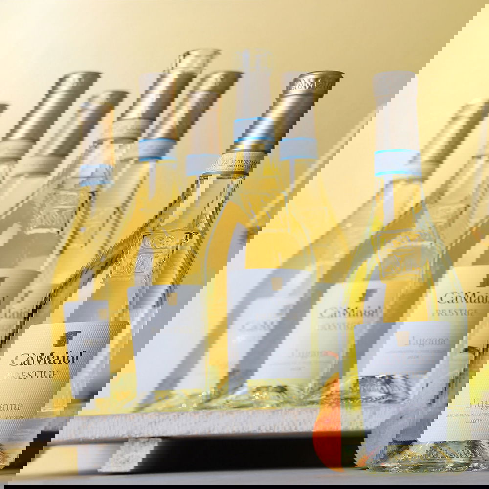 6er-Sparpaket Lugana 2025 Prestige