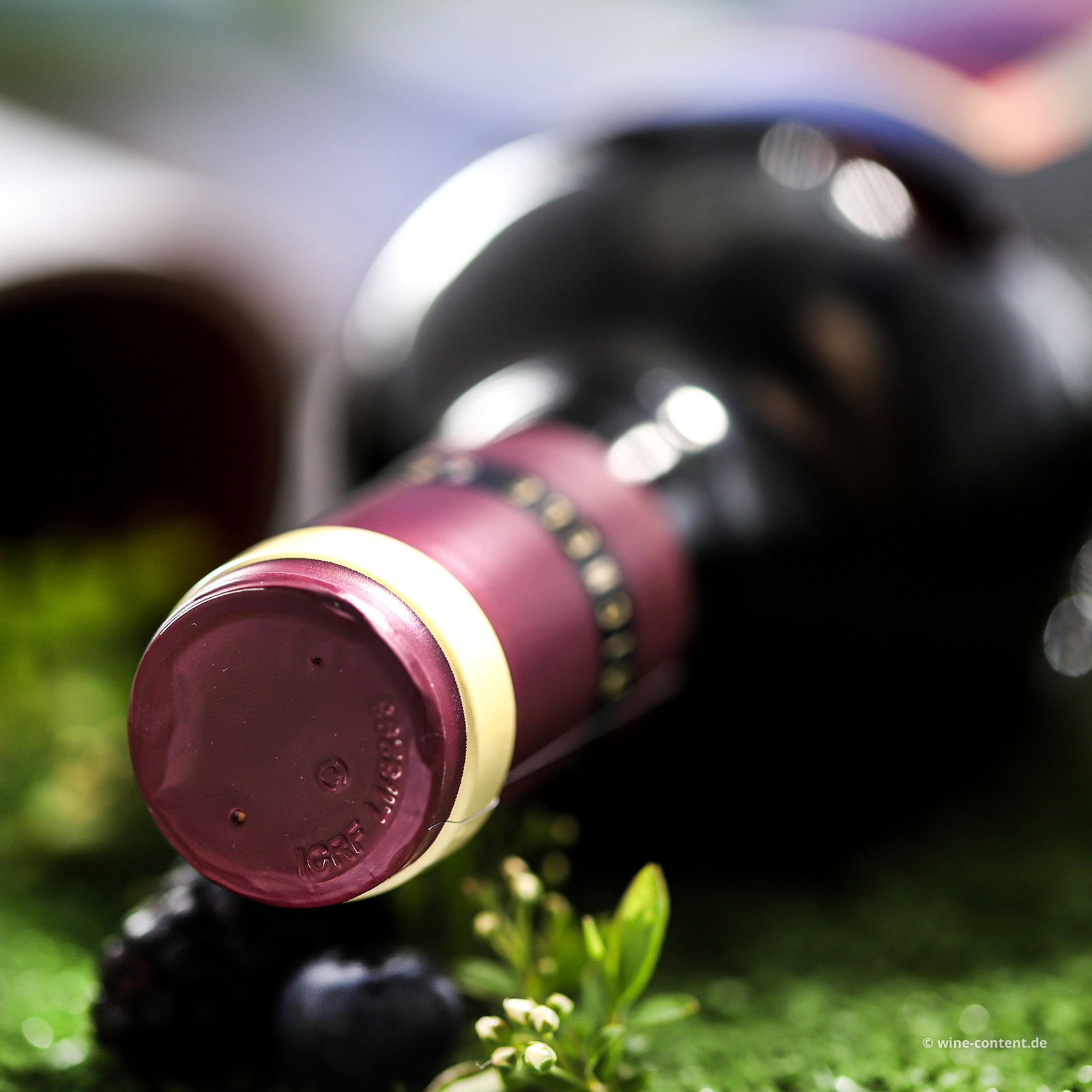 Bolgheri Rosso Superiore 2023 Piastraia