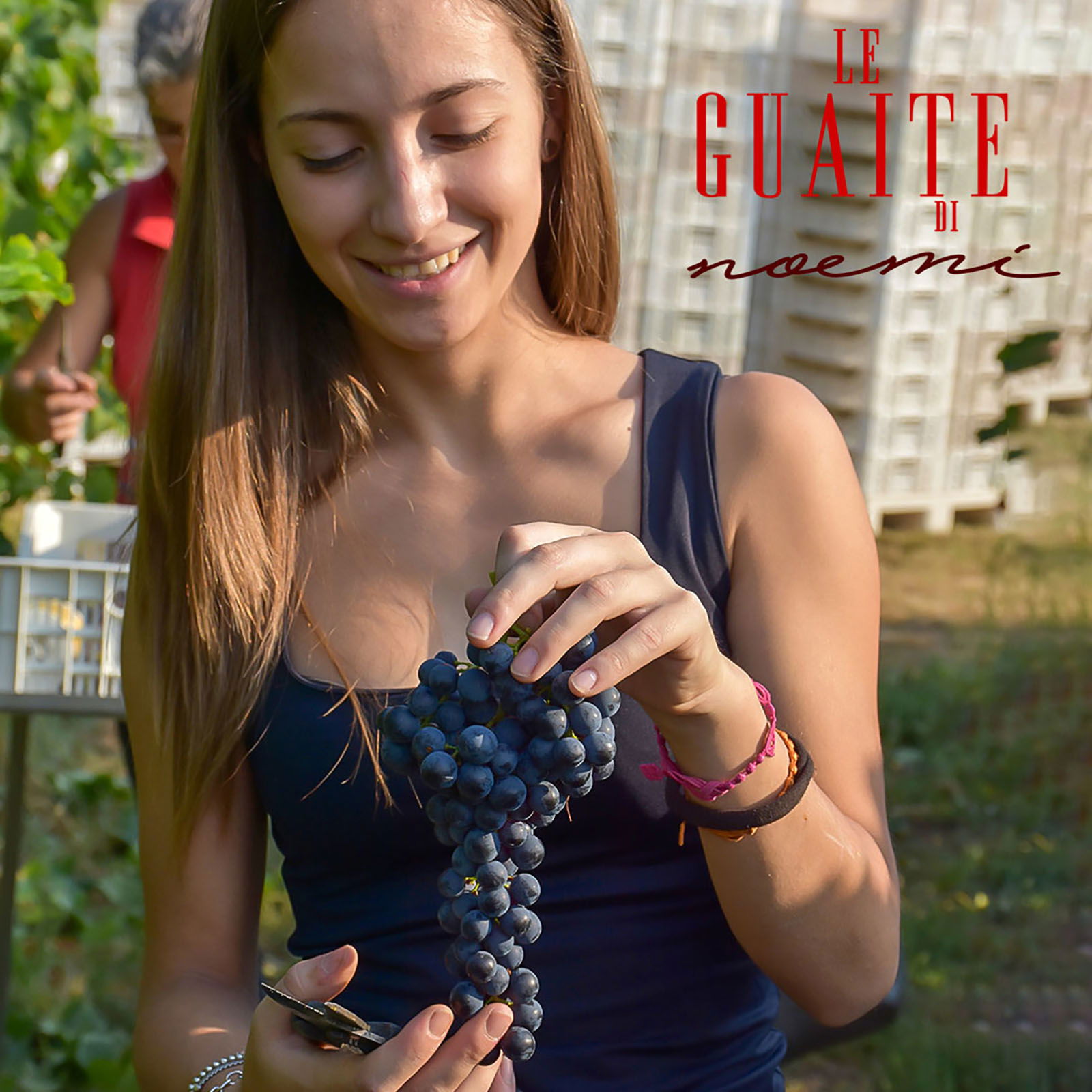 Valpolicella Superiore 2014