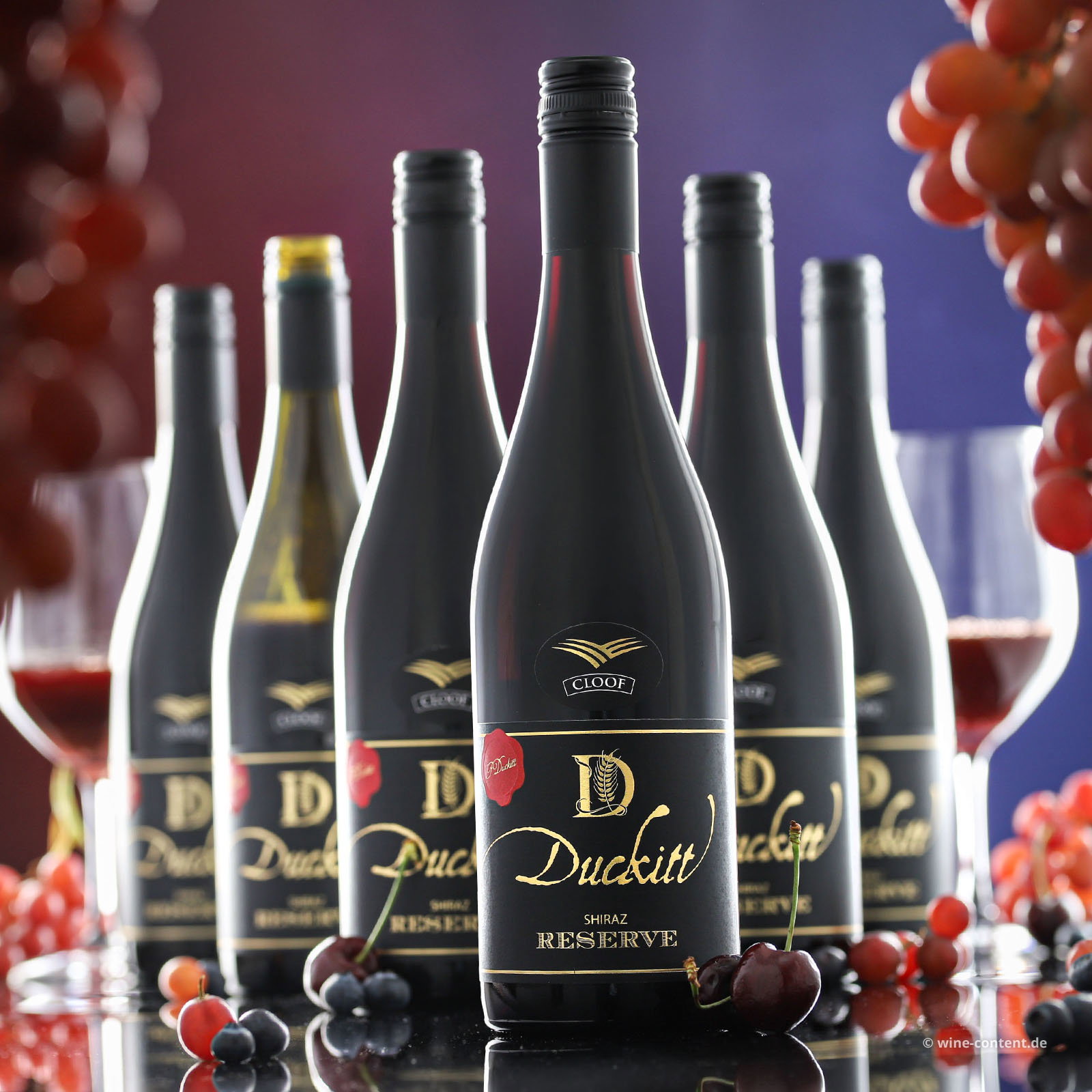 6er-Sparpaket Shiraz Reserve 2022 Duckitt