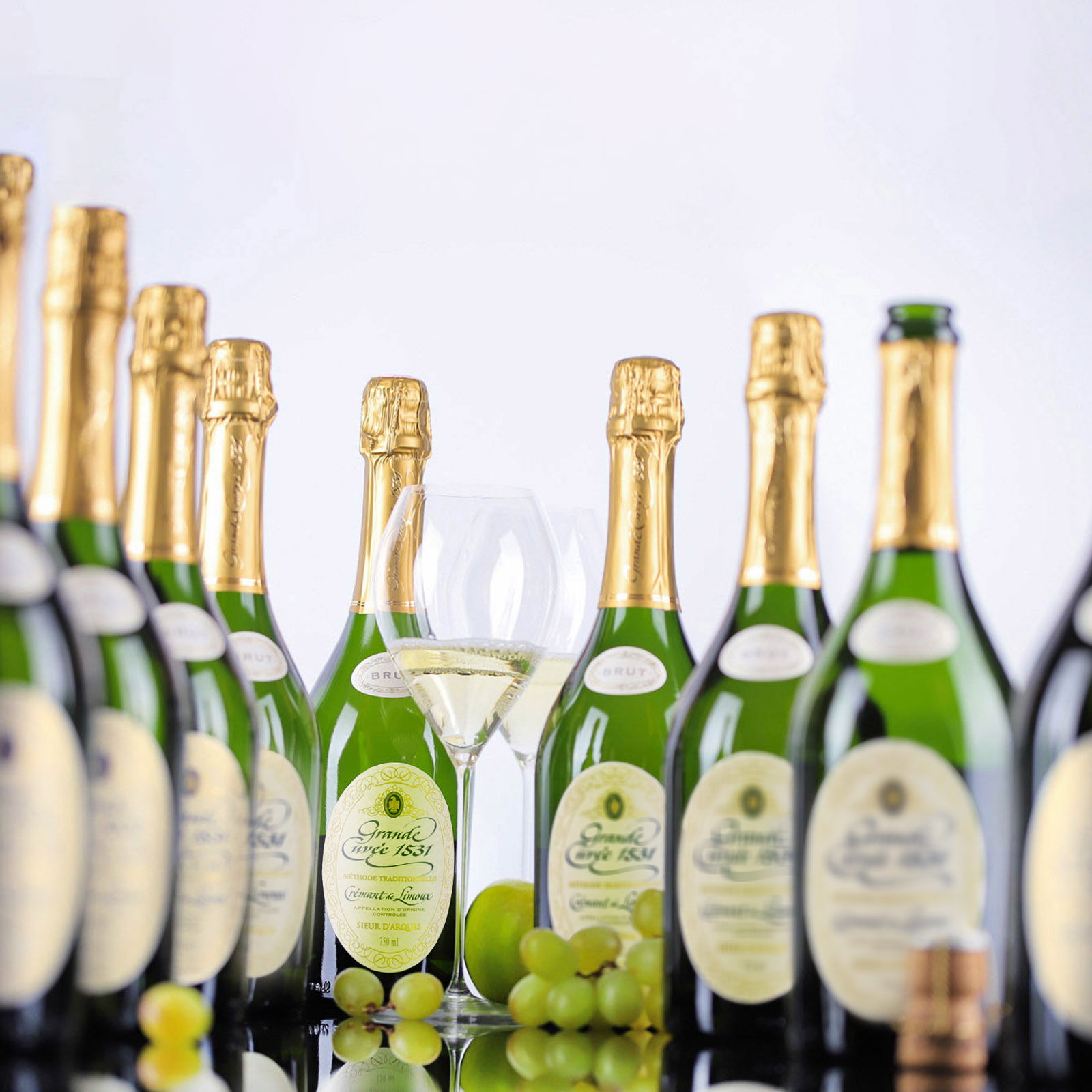 9er-Sparpaket Crémant de Limoux Grande Cuvée 1531 Brut