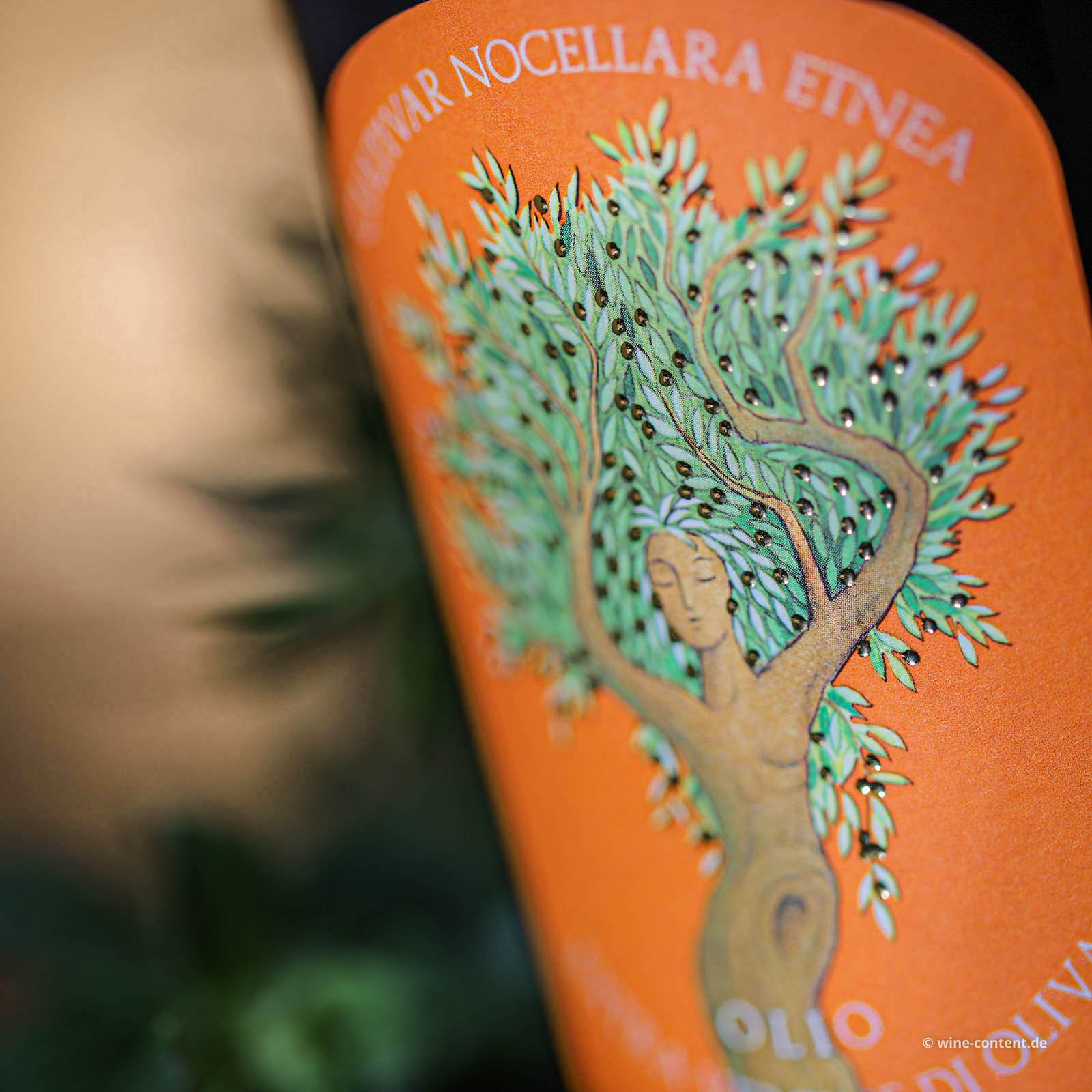 0,5 L Olivenöl Extra Vergine 2025 Nocellara