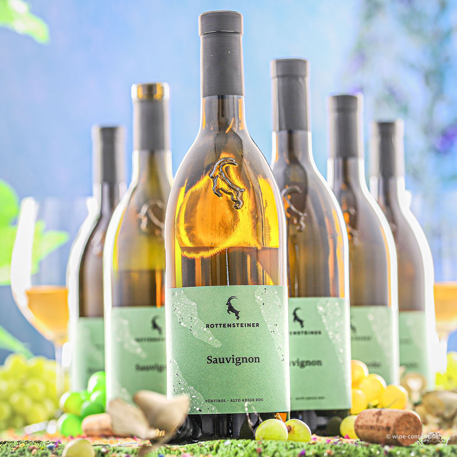 6er-Sparpaket Sauvignon Blanc 2025