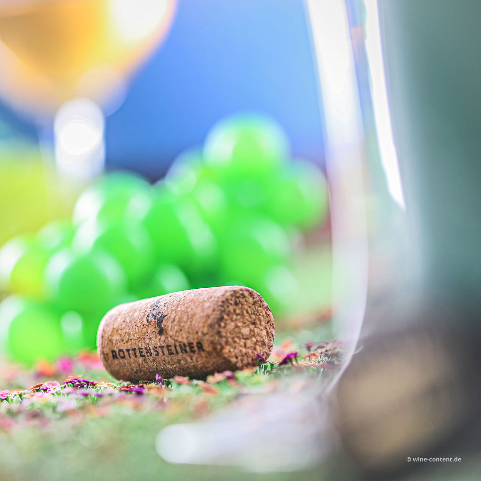 Sauvignon Blanc 2025