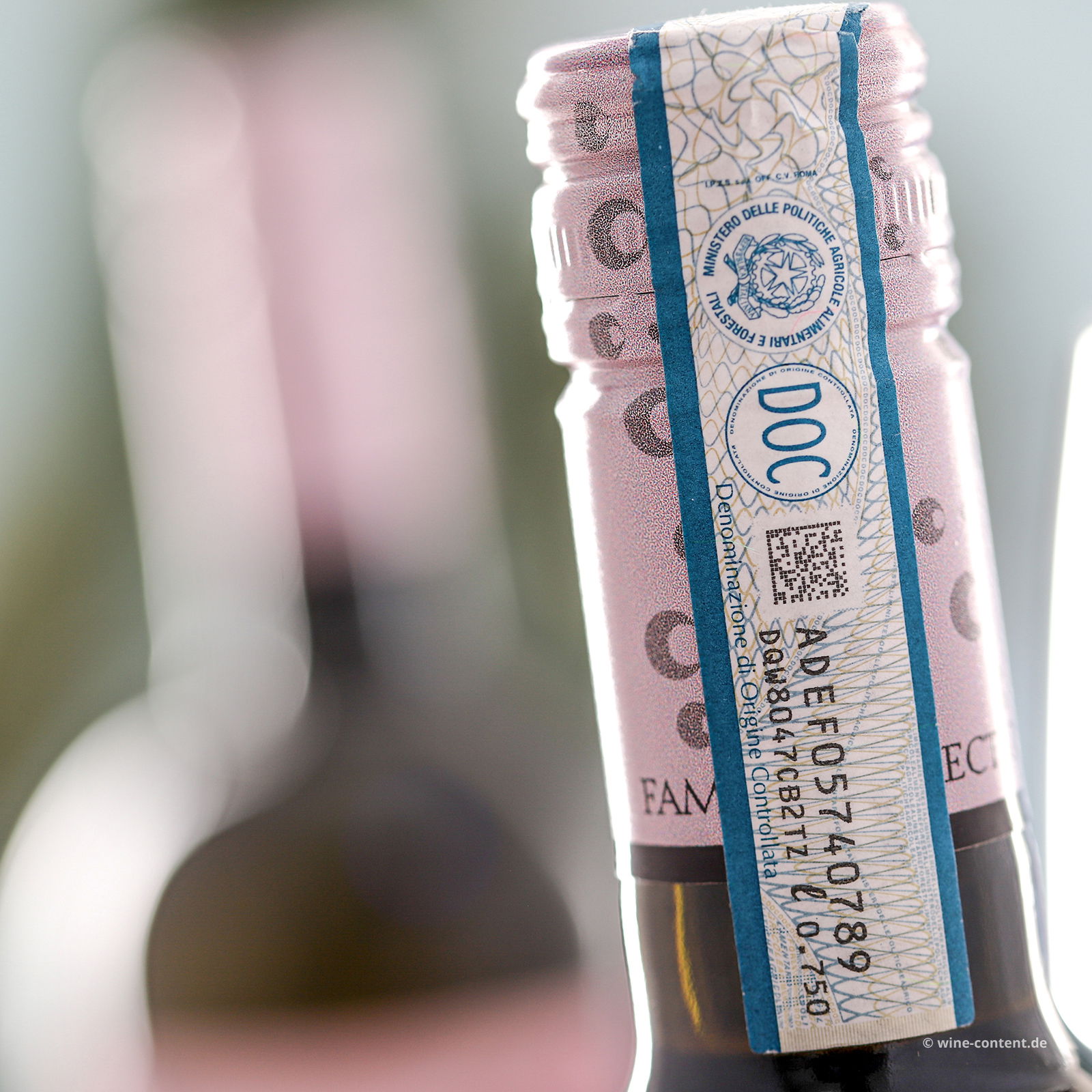 6er-Sparpaket Pinot Grigio delle Venezie 2024