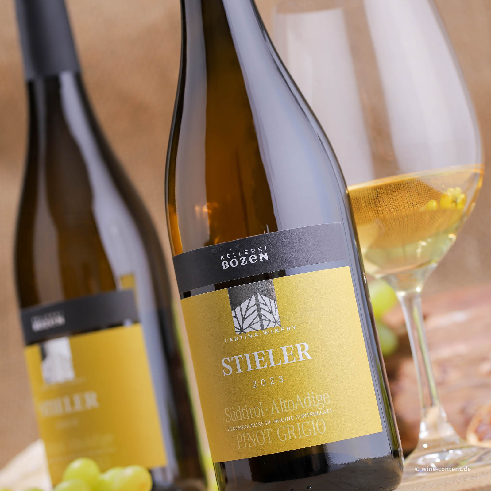 Pinot Grigio 2023 Stieler