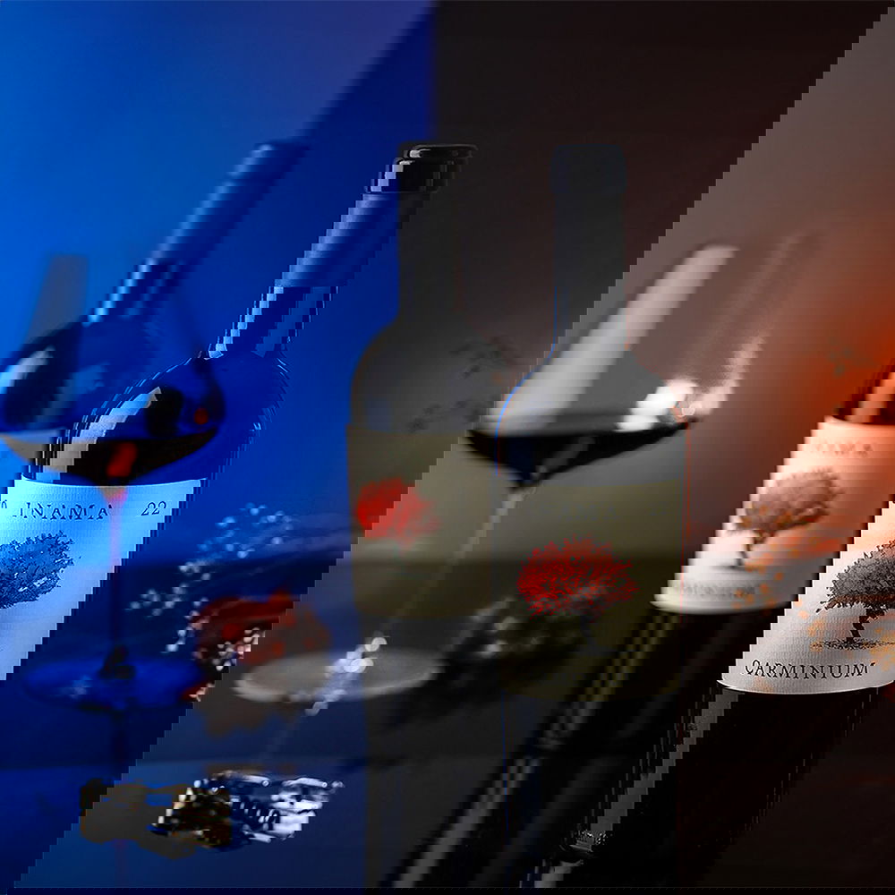 Carmenere 2022 Carminium