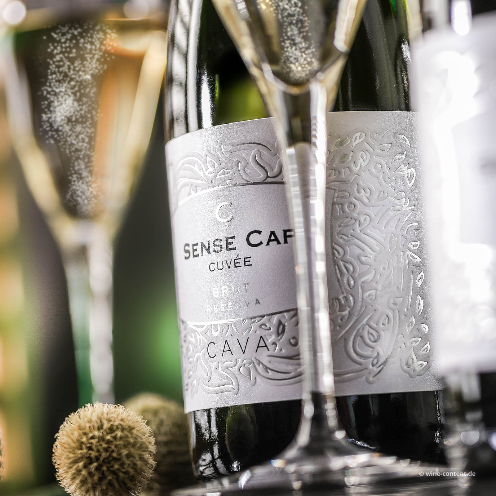 Cava Reserva 2021 Sense Cap Brut Bio