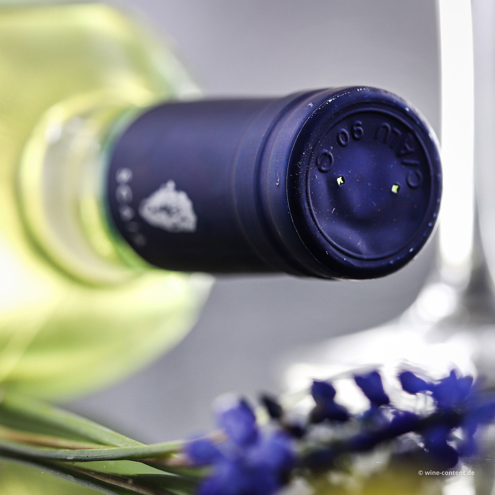 Scaia Bianco 2024