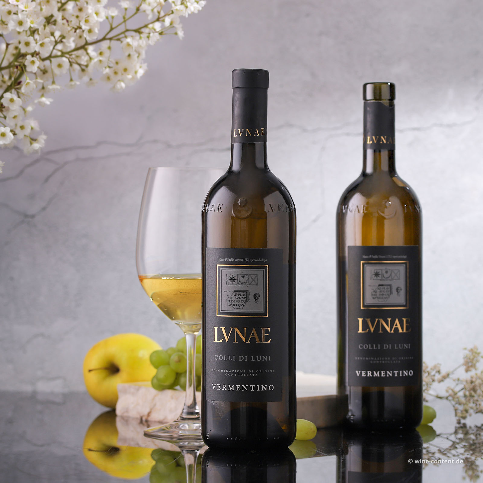Vermentino Colli di Luni 2025 Etichetta Nera