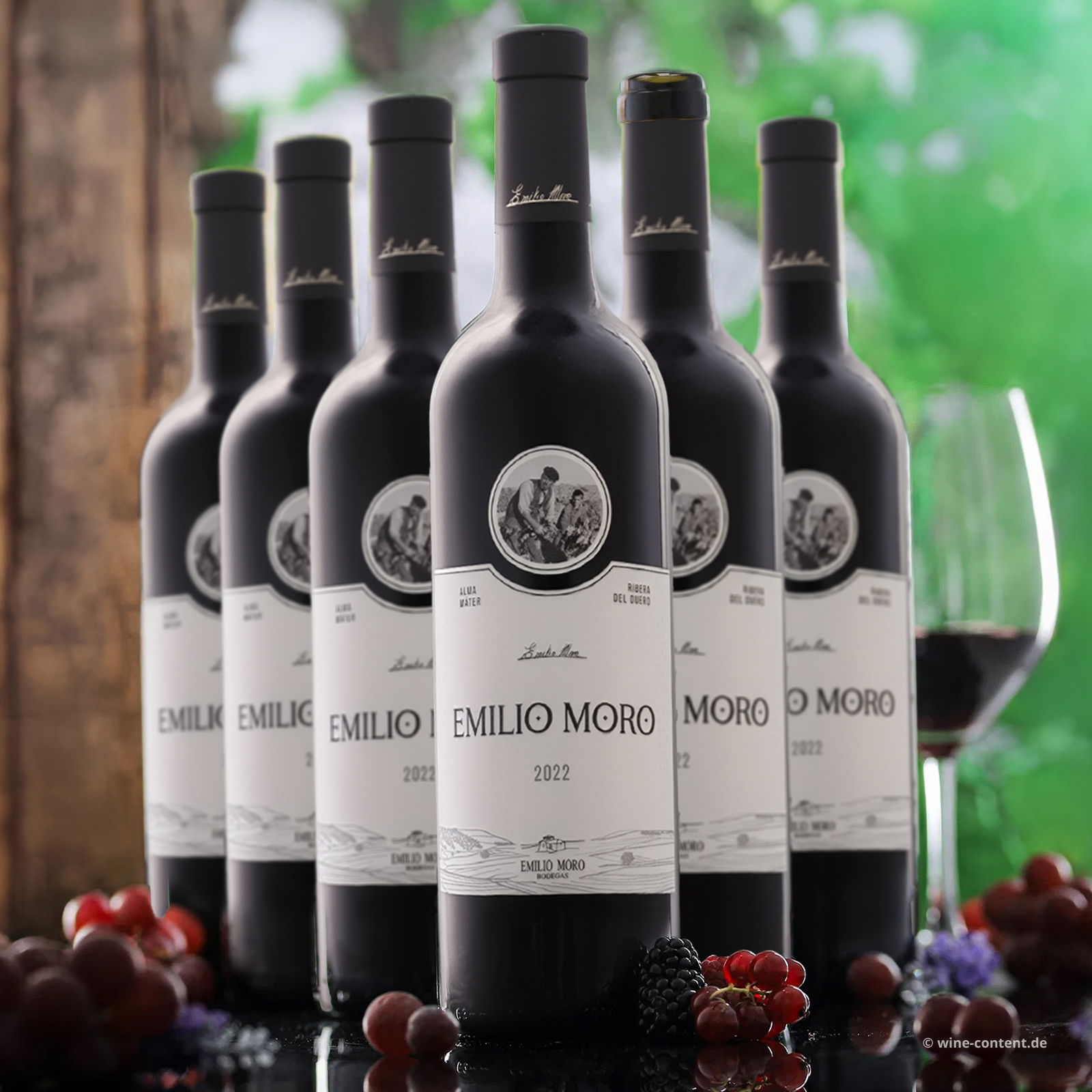 6er-Sparpaket Tempranillo 2022 Emilio Moro