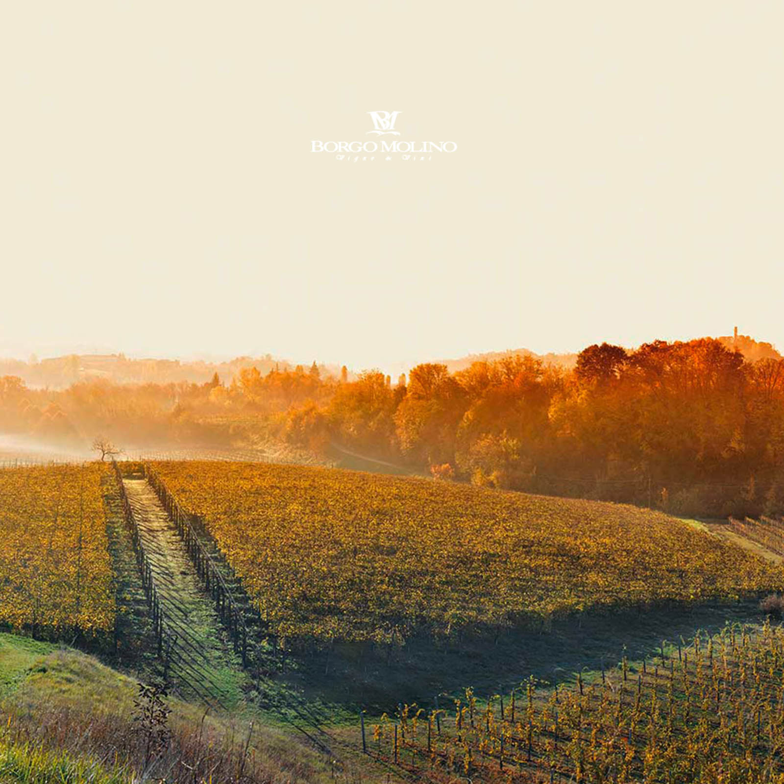 6er-Sparpaket Spumante Venti2 Gold Cuvée Brut Neue Silhouette