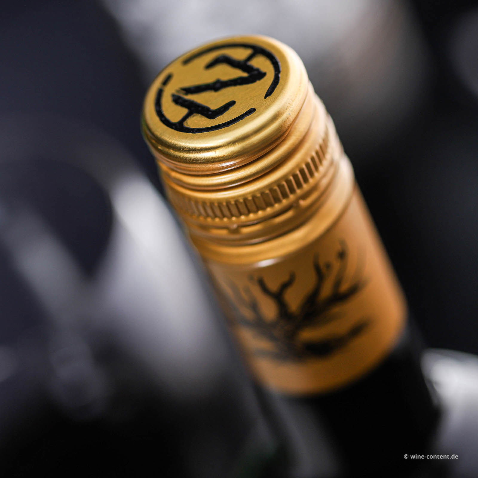 Zinfandel 2023 Wanted