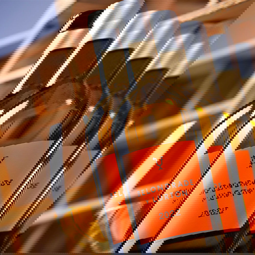 6er-Sparpaket Verdejo 2022 Belondrade y Lurton Bio