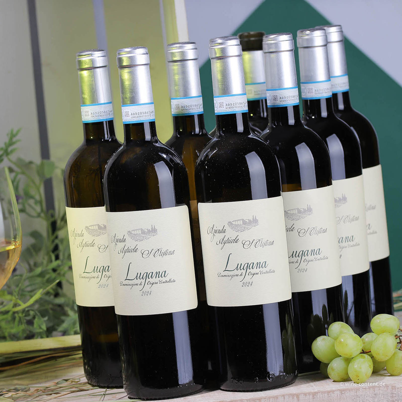 9er-Sparpaket Lugana 2024 Santa Cristina
