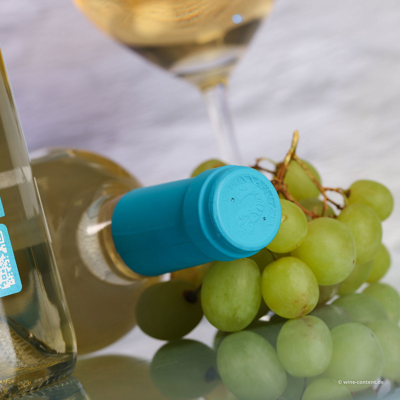 Sicilia Bianco 2024 Damarino