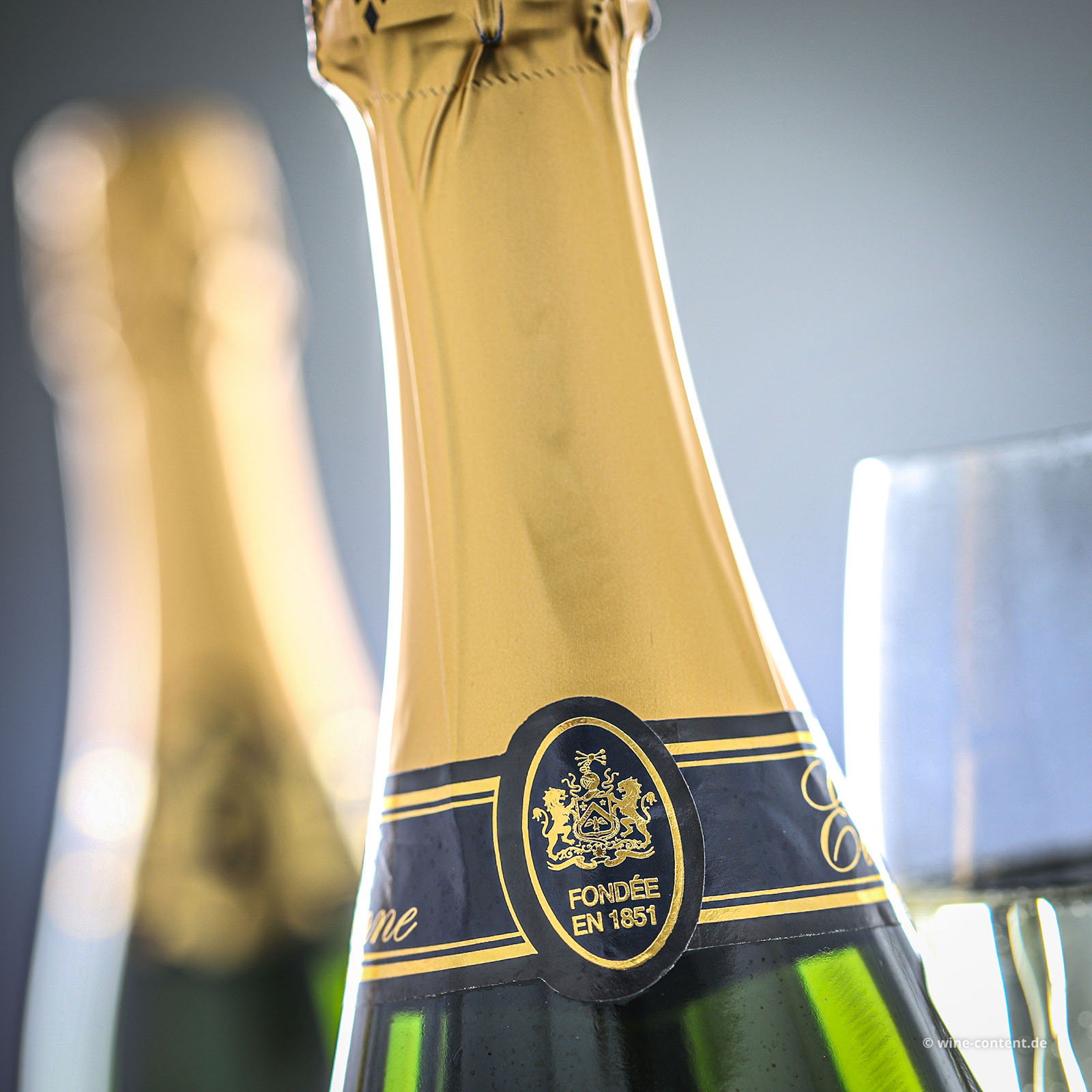 Crémant de Loire Etienne Brut