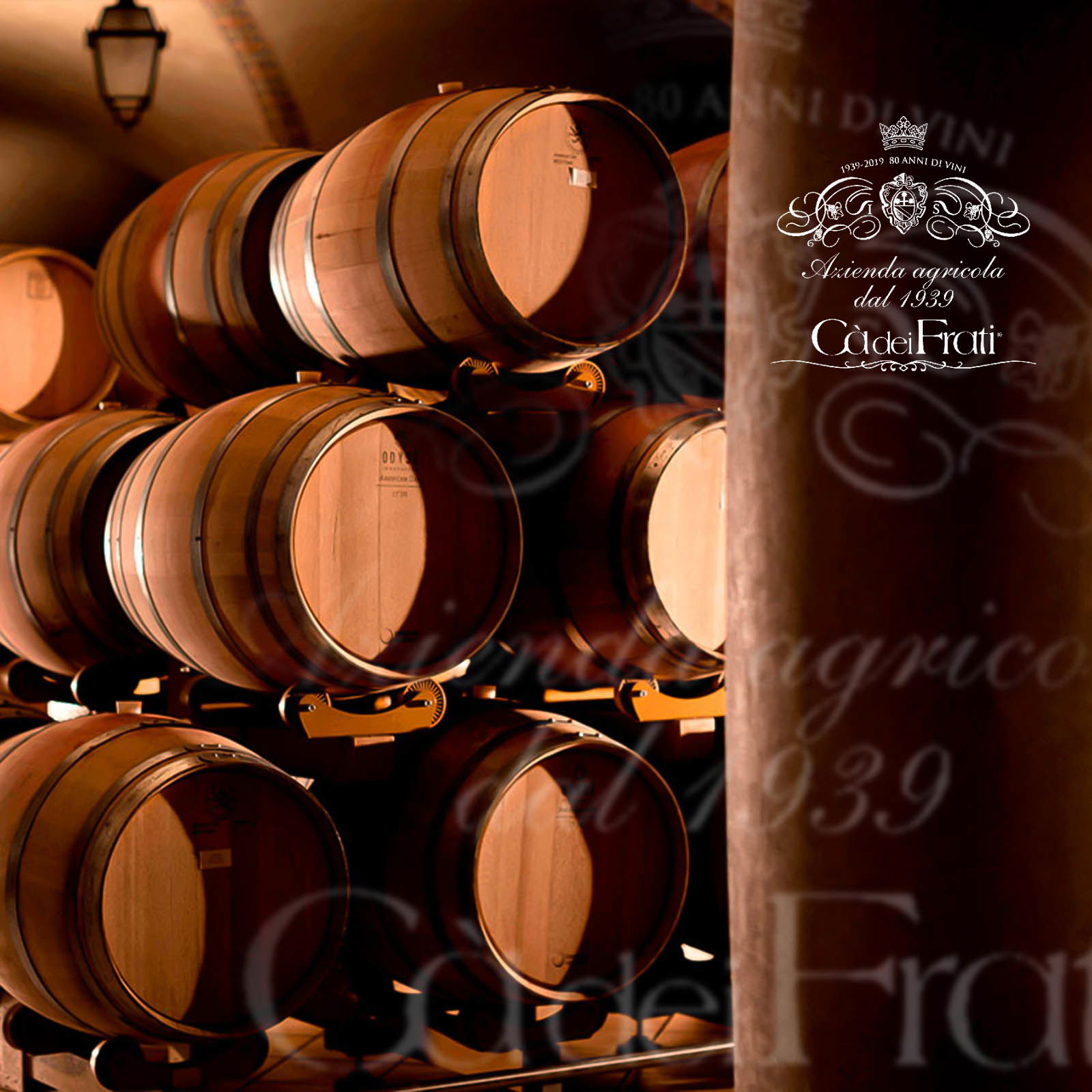 9er-Sparpaket Lugana 2024 I Frati