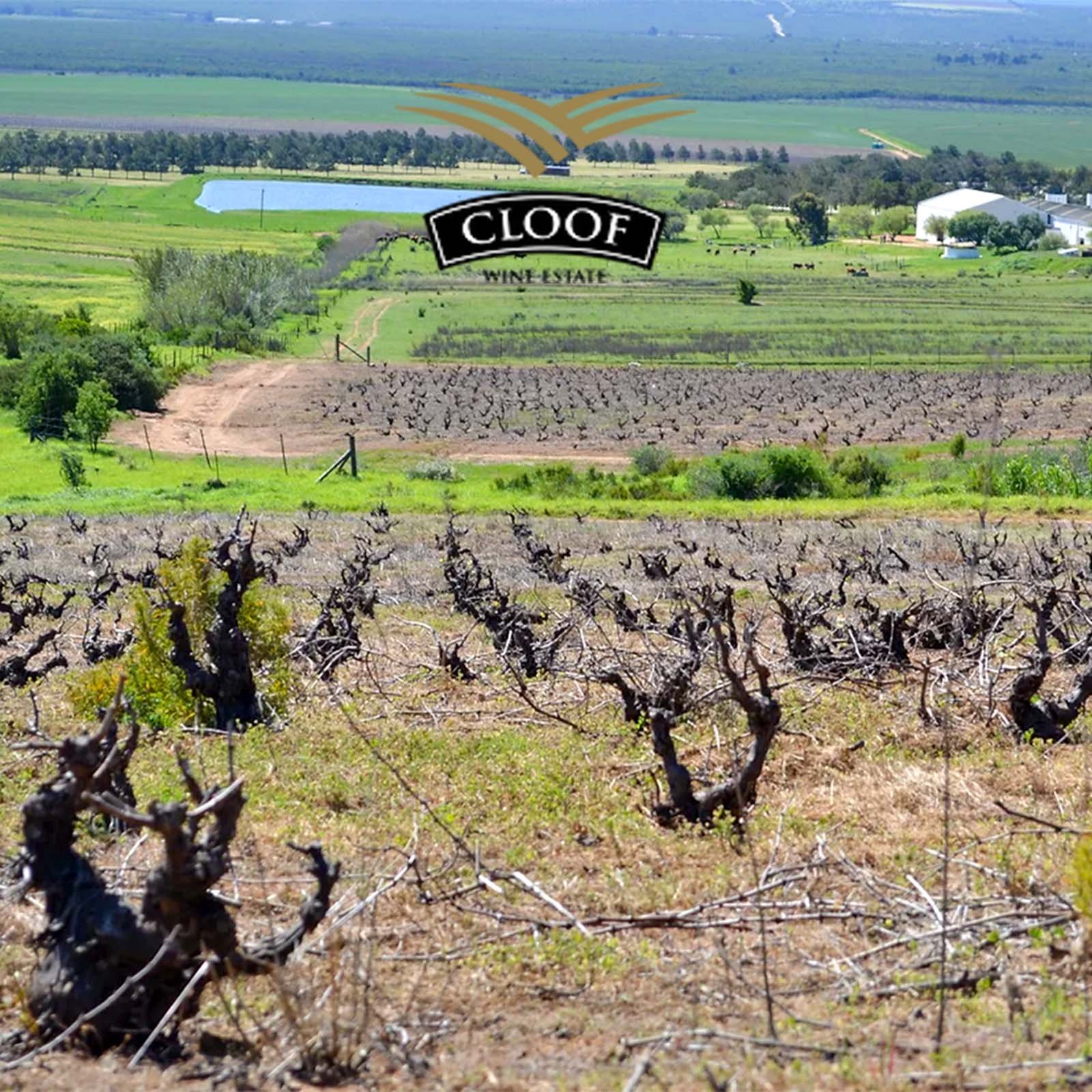 Bordeaux Blend 2020 Duckitt