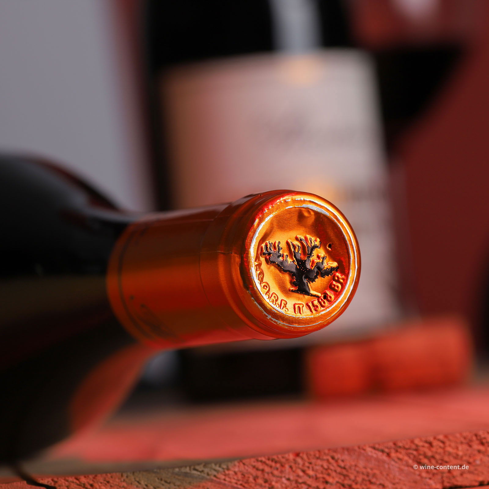 Primitivo 2023 Passitivo