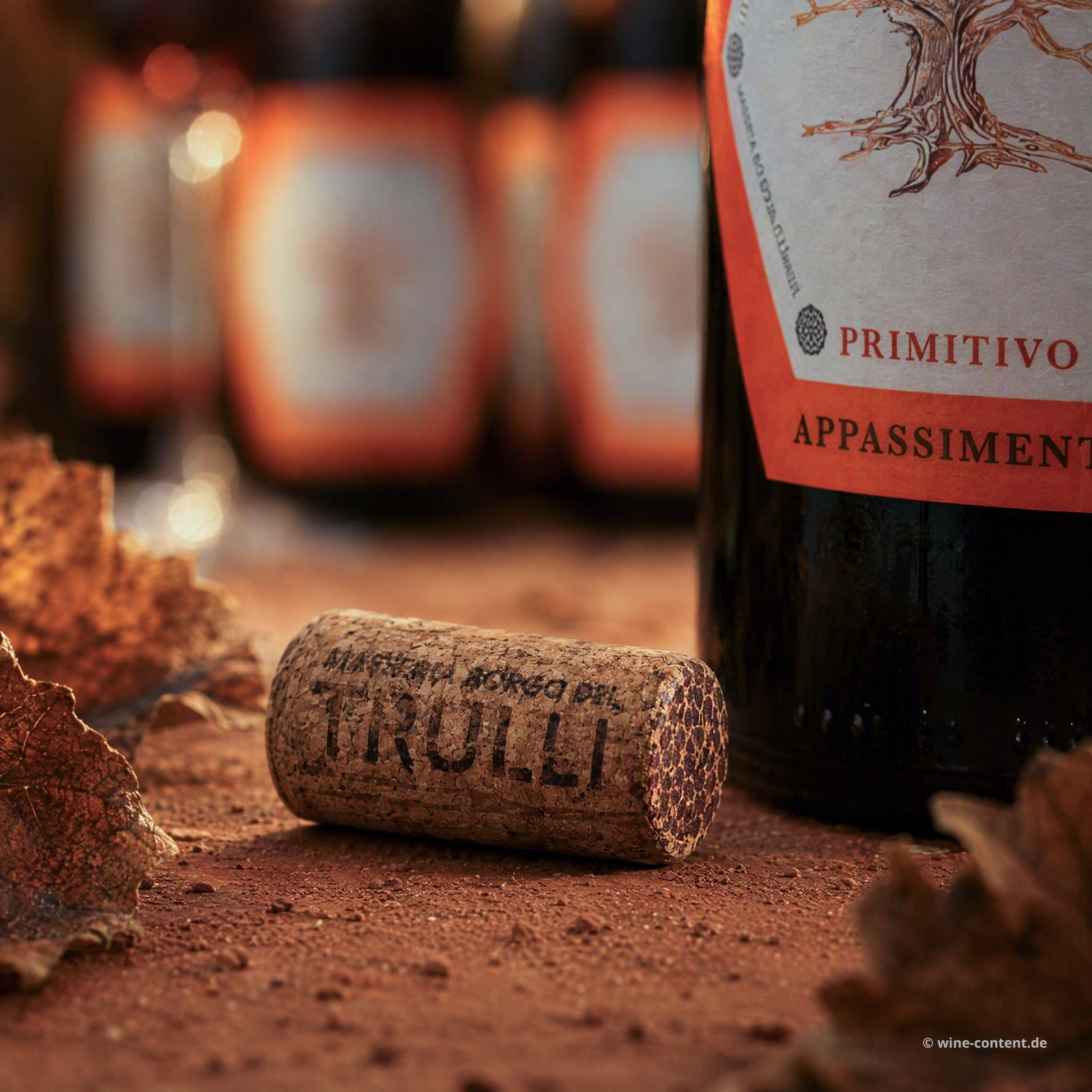 6er-Sparpaket Primitivo Appassimento 2025 Lucale