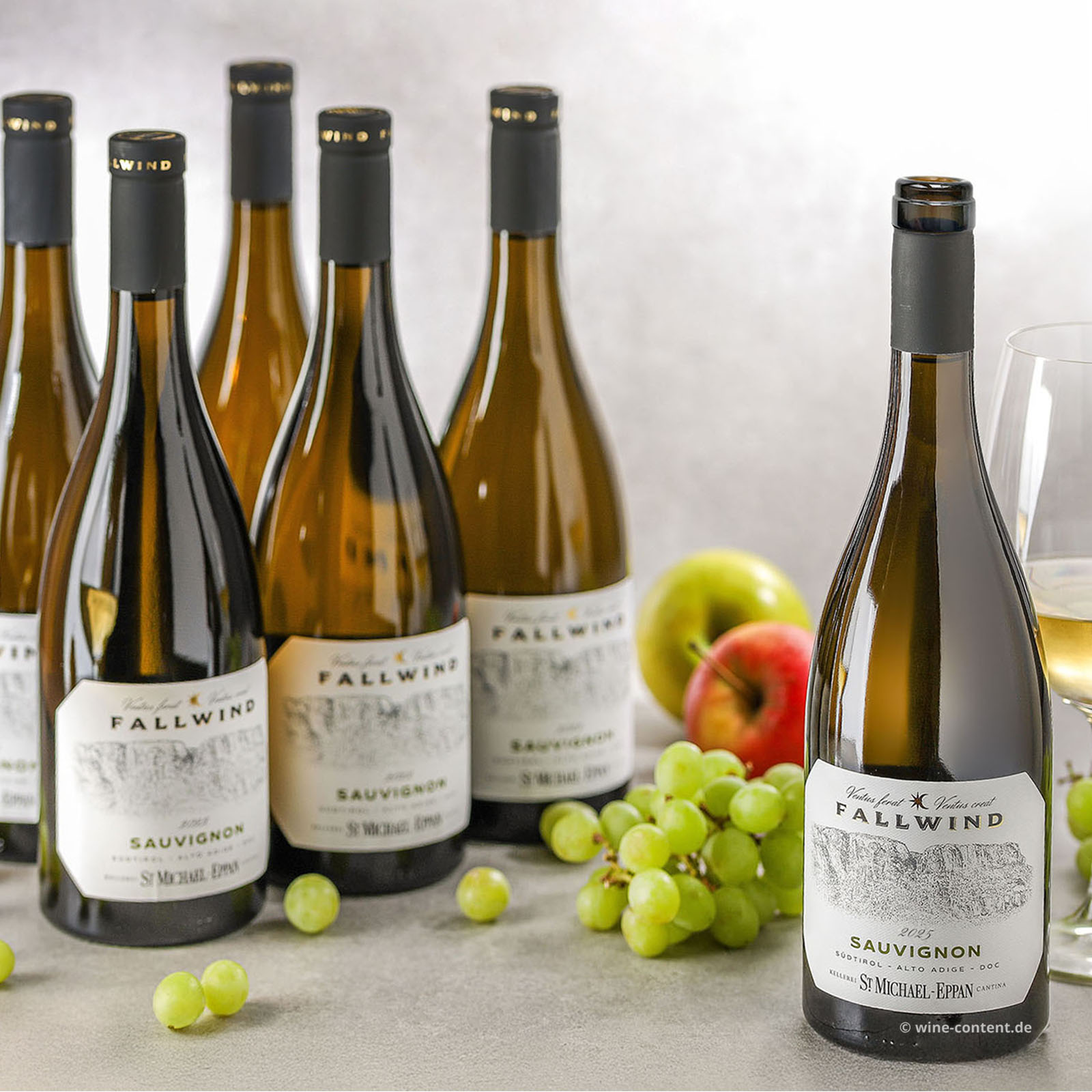 6er-Sparpaket Sauvignon Blanc 2025 Fallwind