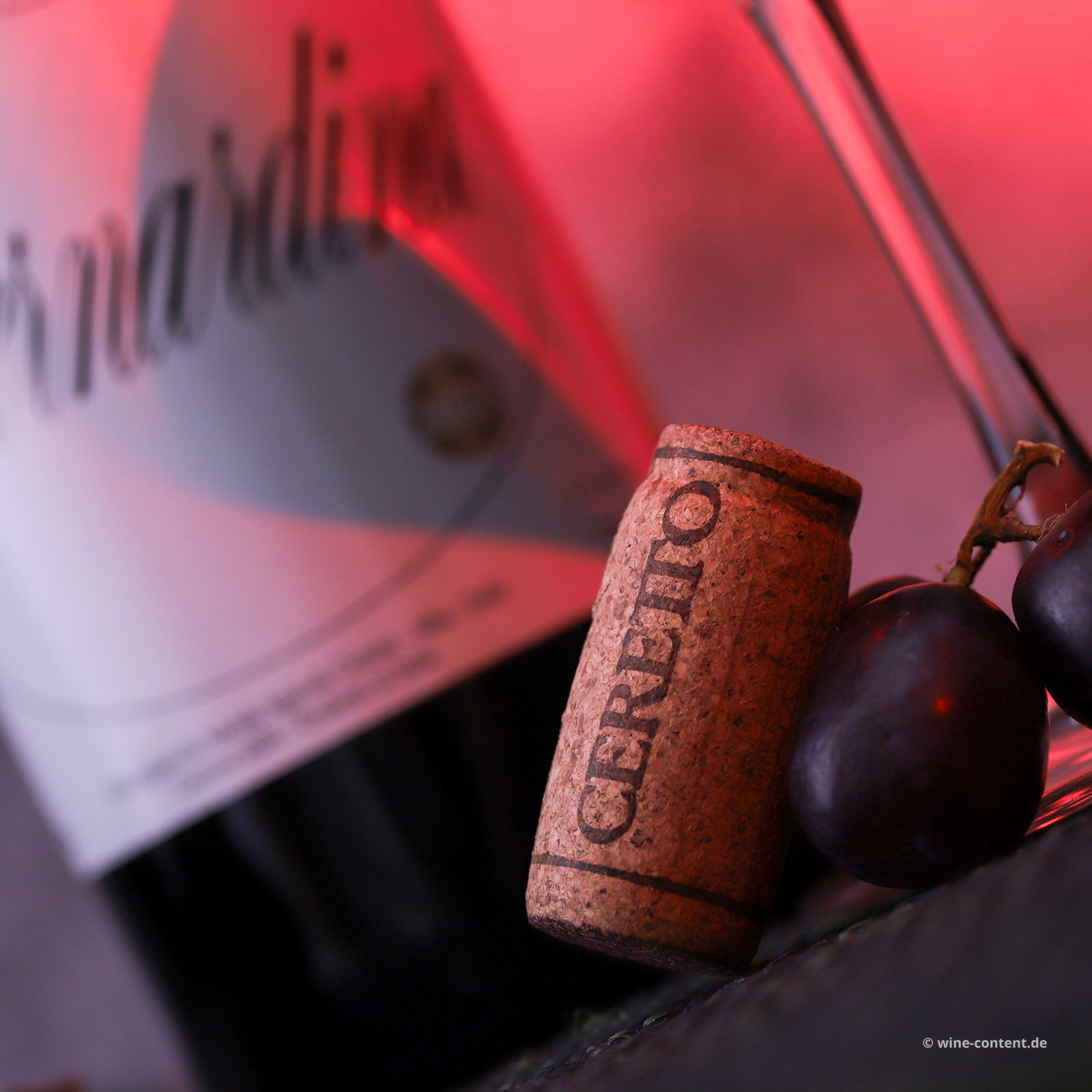 Nebbiolo d'Alba 2023 Bernardina Bio