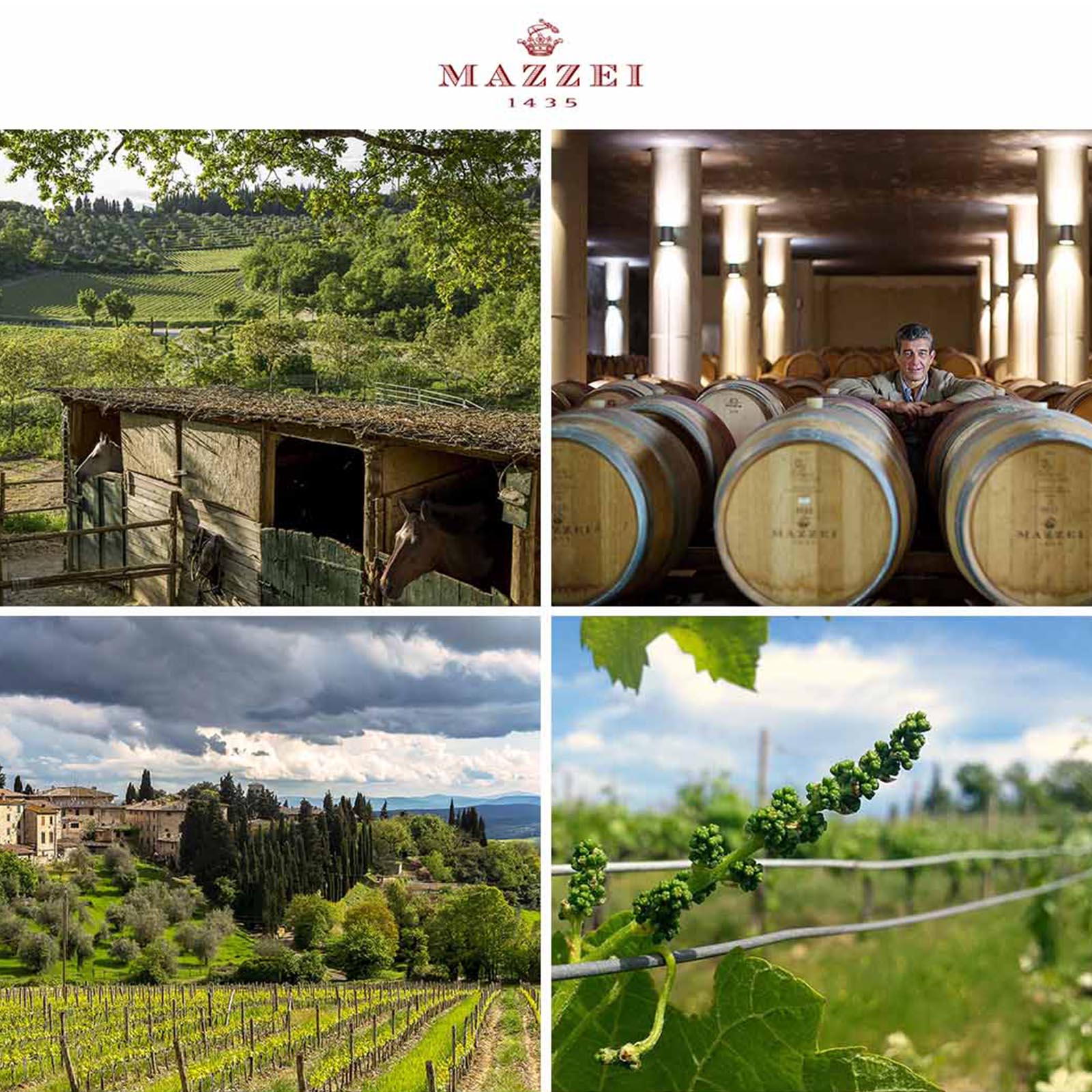 Chianti Classico Gran Selezione 2021 Badiòla