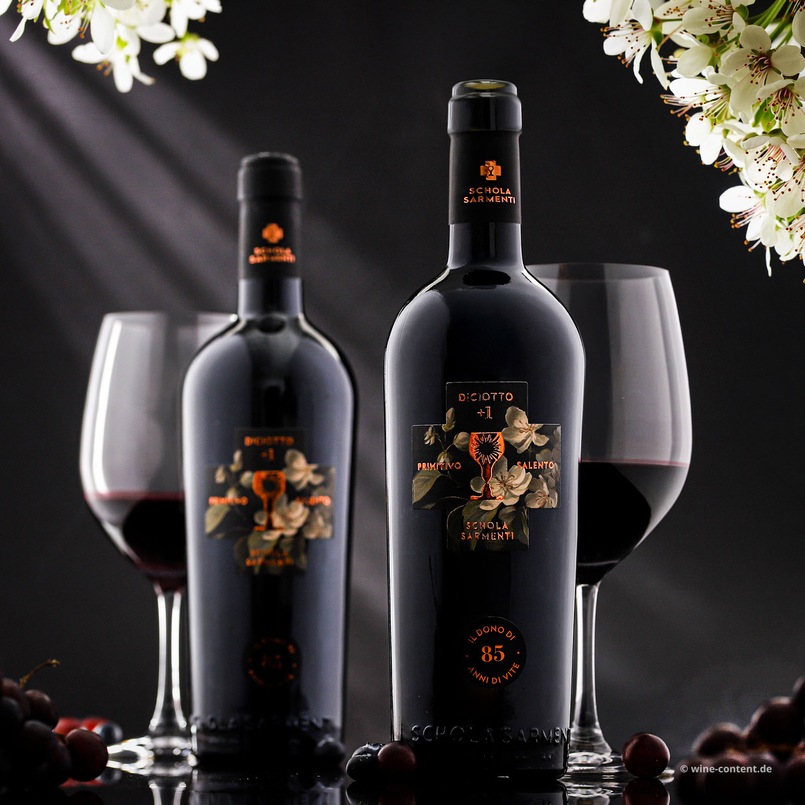 Primitivo Salento 2022 Diciotto +1