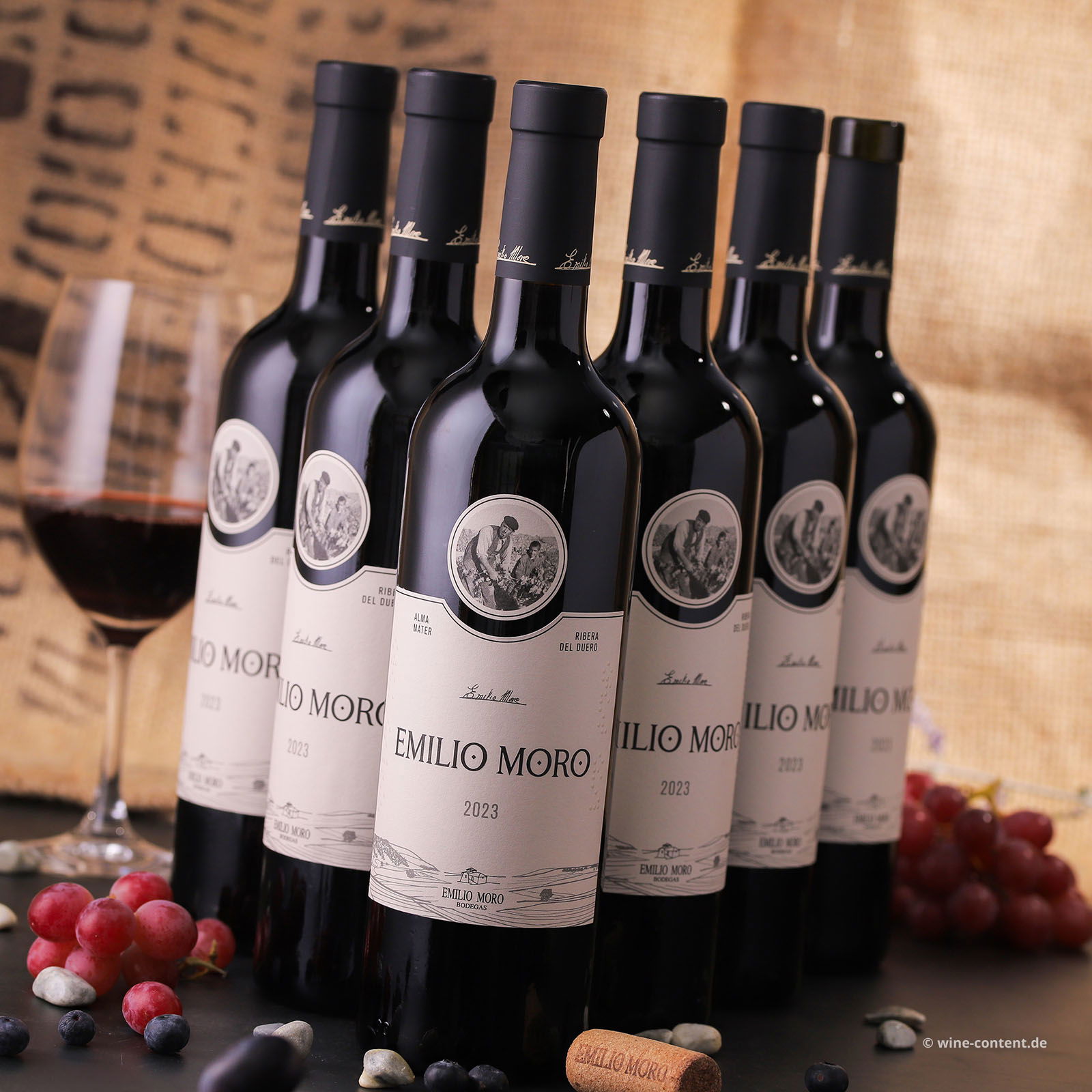 6er-Sparpaket Tempranillo 2023 Emilio Moro