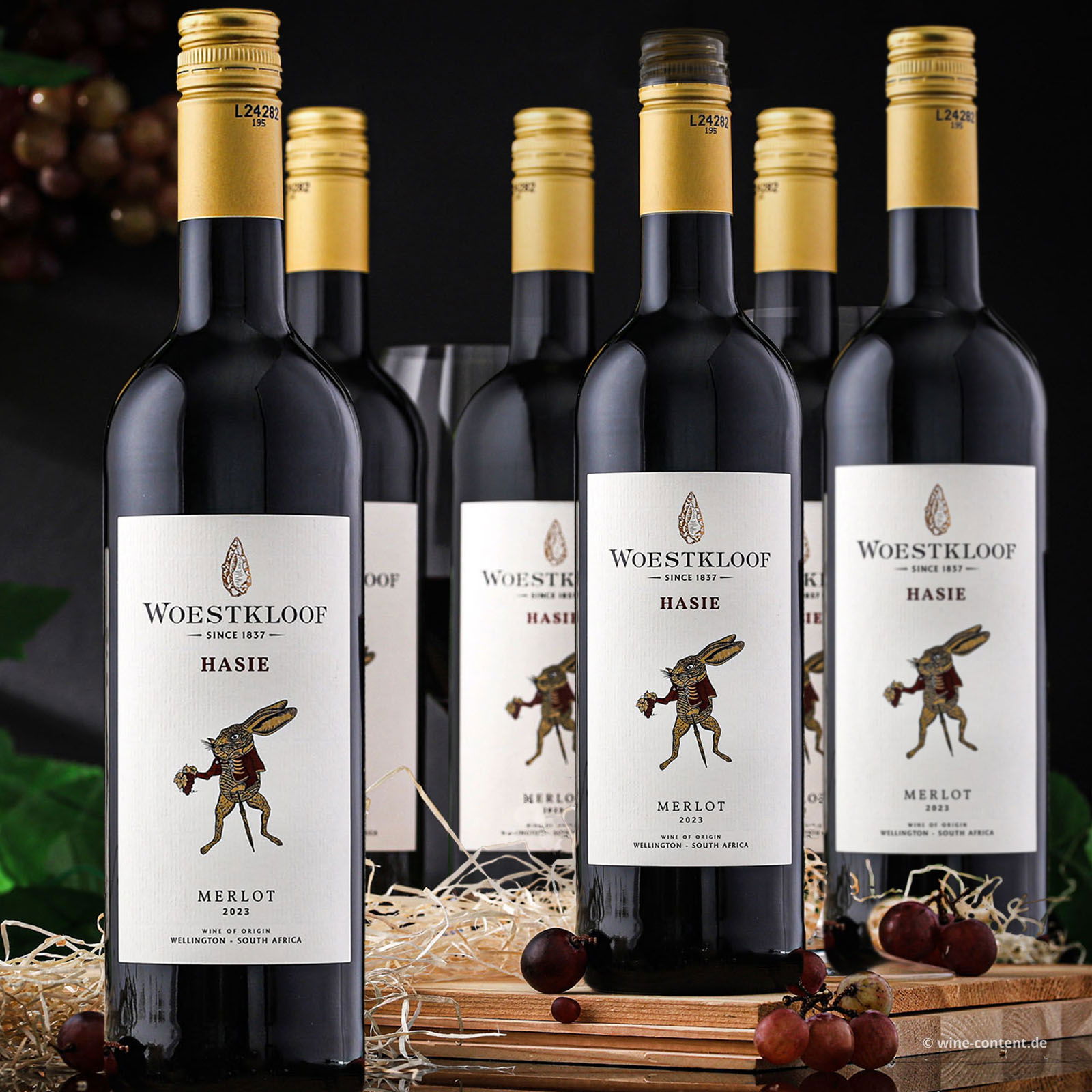 5+1 Sparpaket Merlot 2023 Hasie