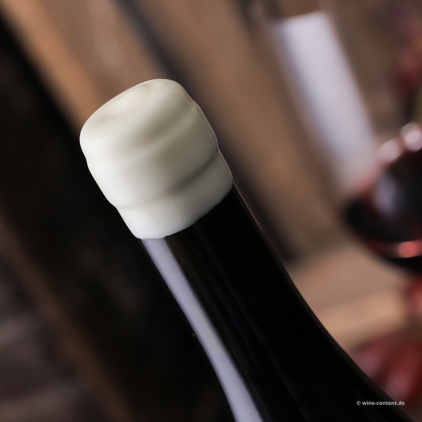 Syrah Toscana 2023