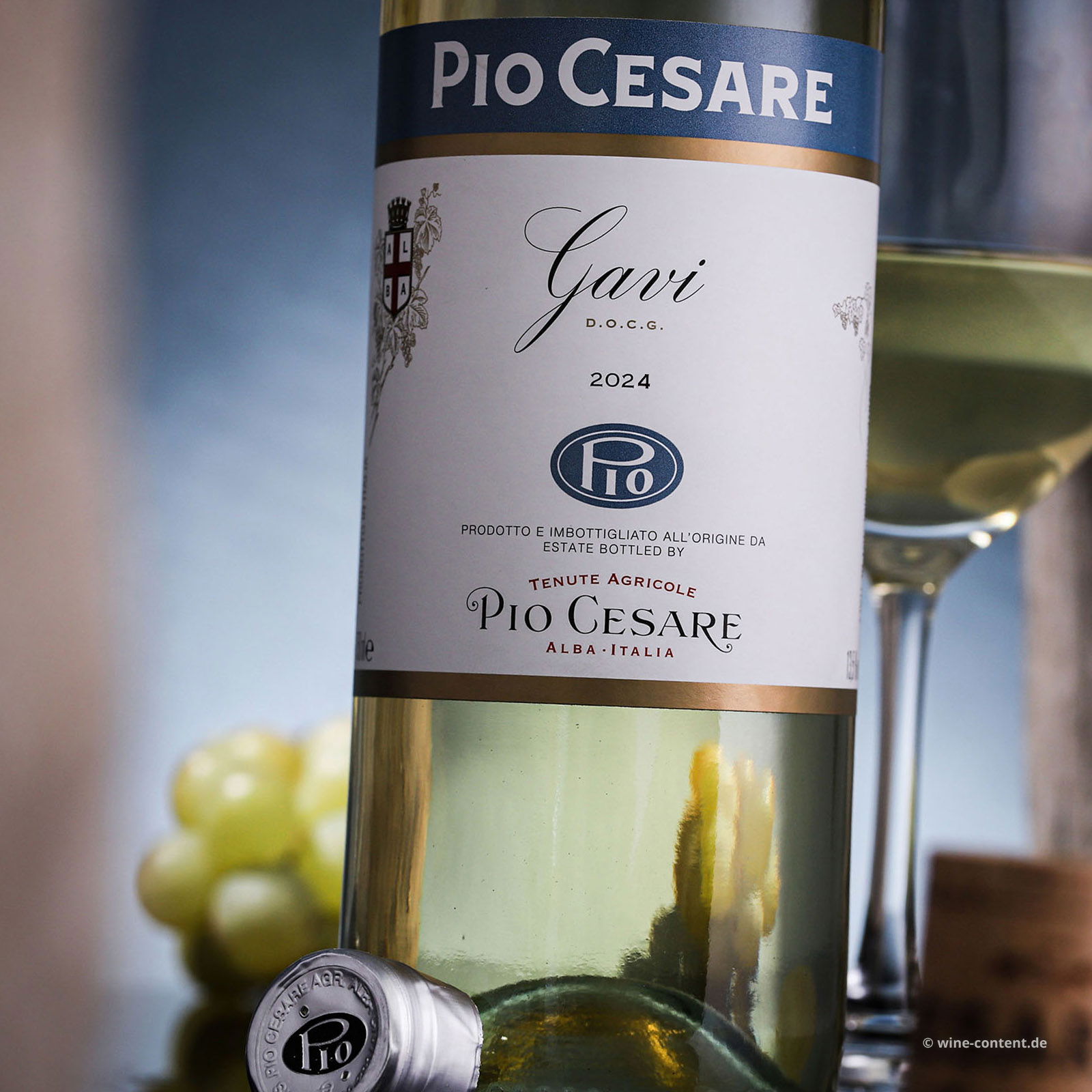 Gavi 2024