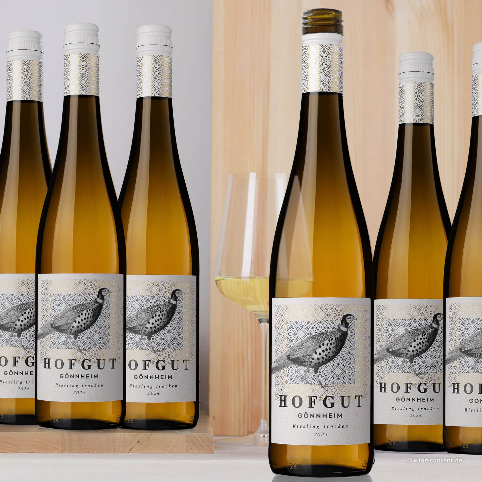 6er-Sparpaket Riesling 2024 Gönnheim Bio