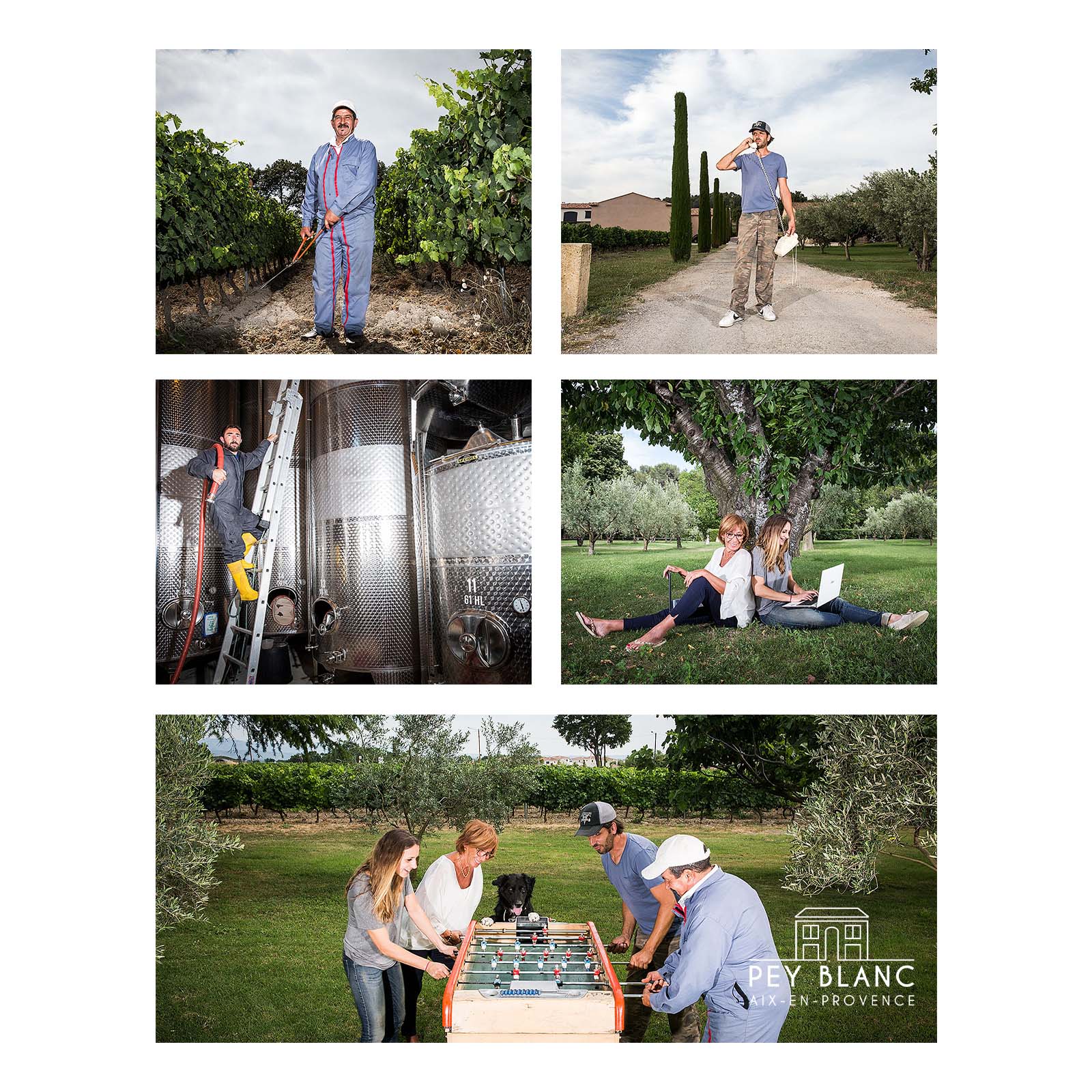 6er-Sparpaket Aix en Provence Rosé 2025 N° 1