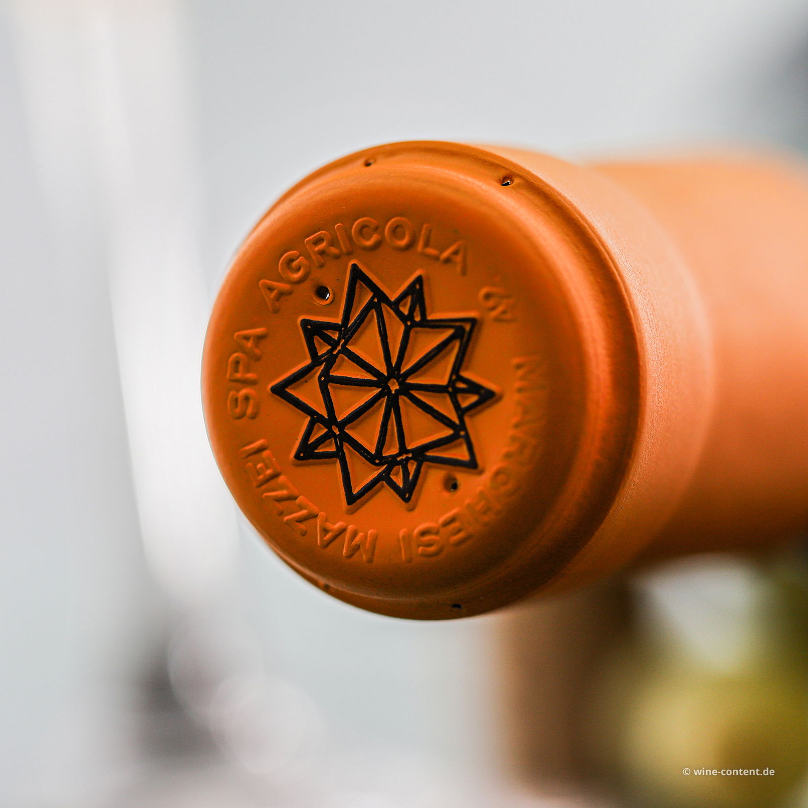 Vermentino Maremma Toscana Superiore 2022 Belguardo V