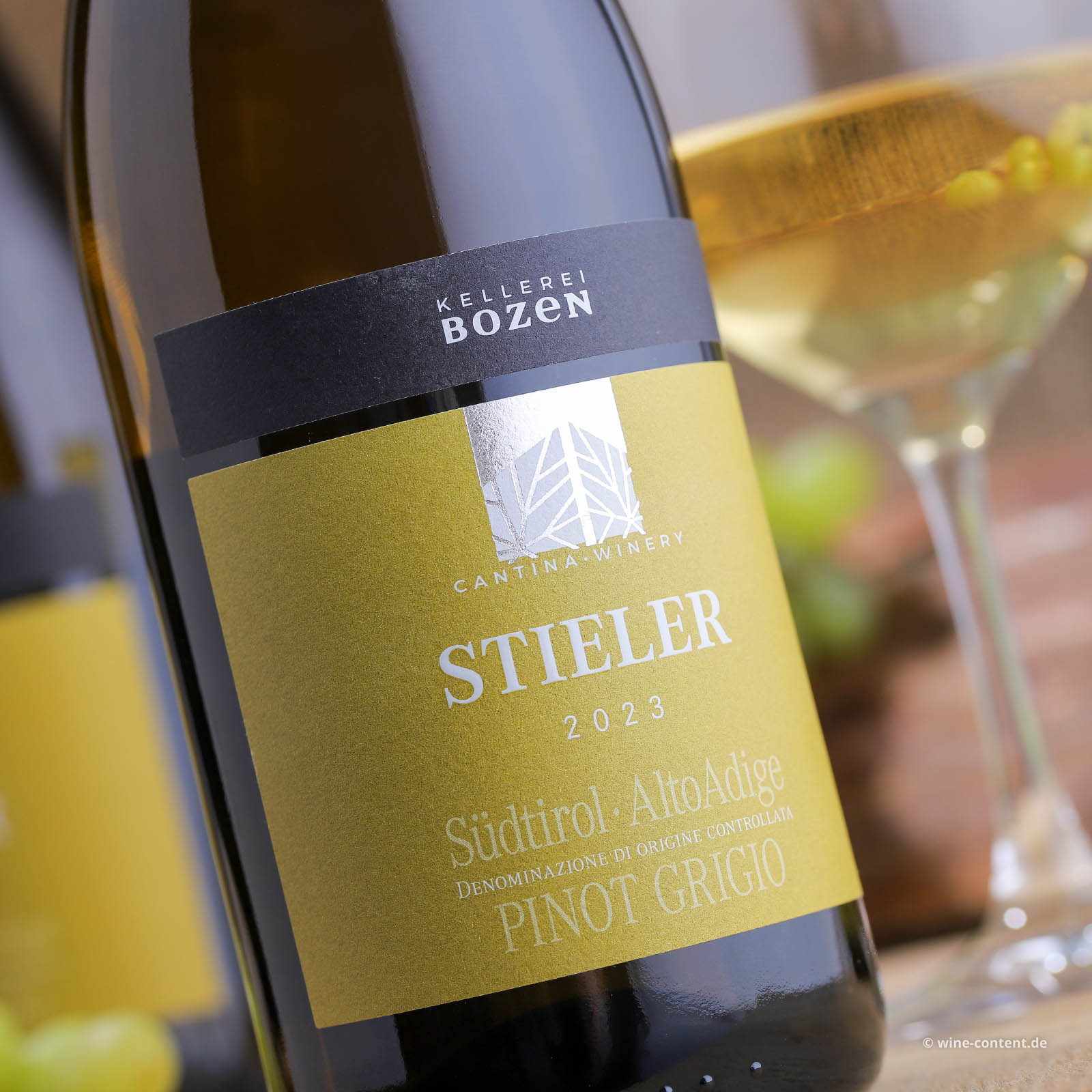 Pinot Grigio 2023 Stieler