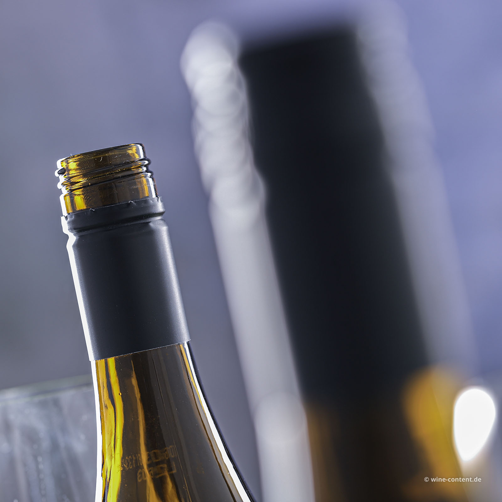 Pinot Grigio 2025 Puiattino