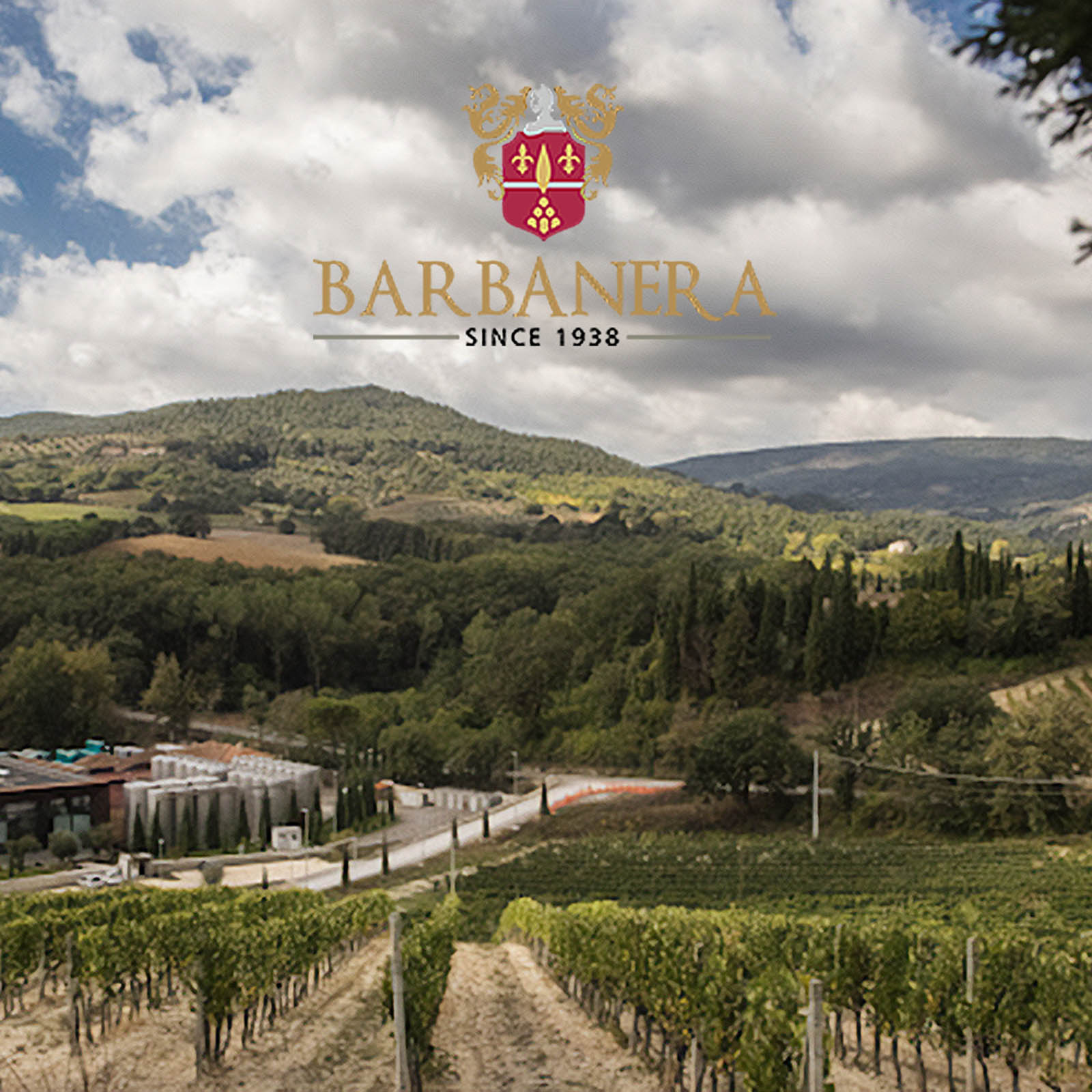 Gigino Grande Rosso 2021 Anniversario 80 Gigino Grande Rosso 2021 Anniversario 80