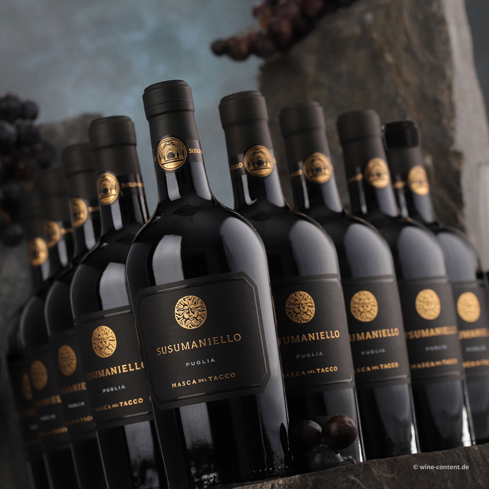 9er-Sparpaket Susumaniello 2023 9er-Sparpaket Susumaniello 2023