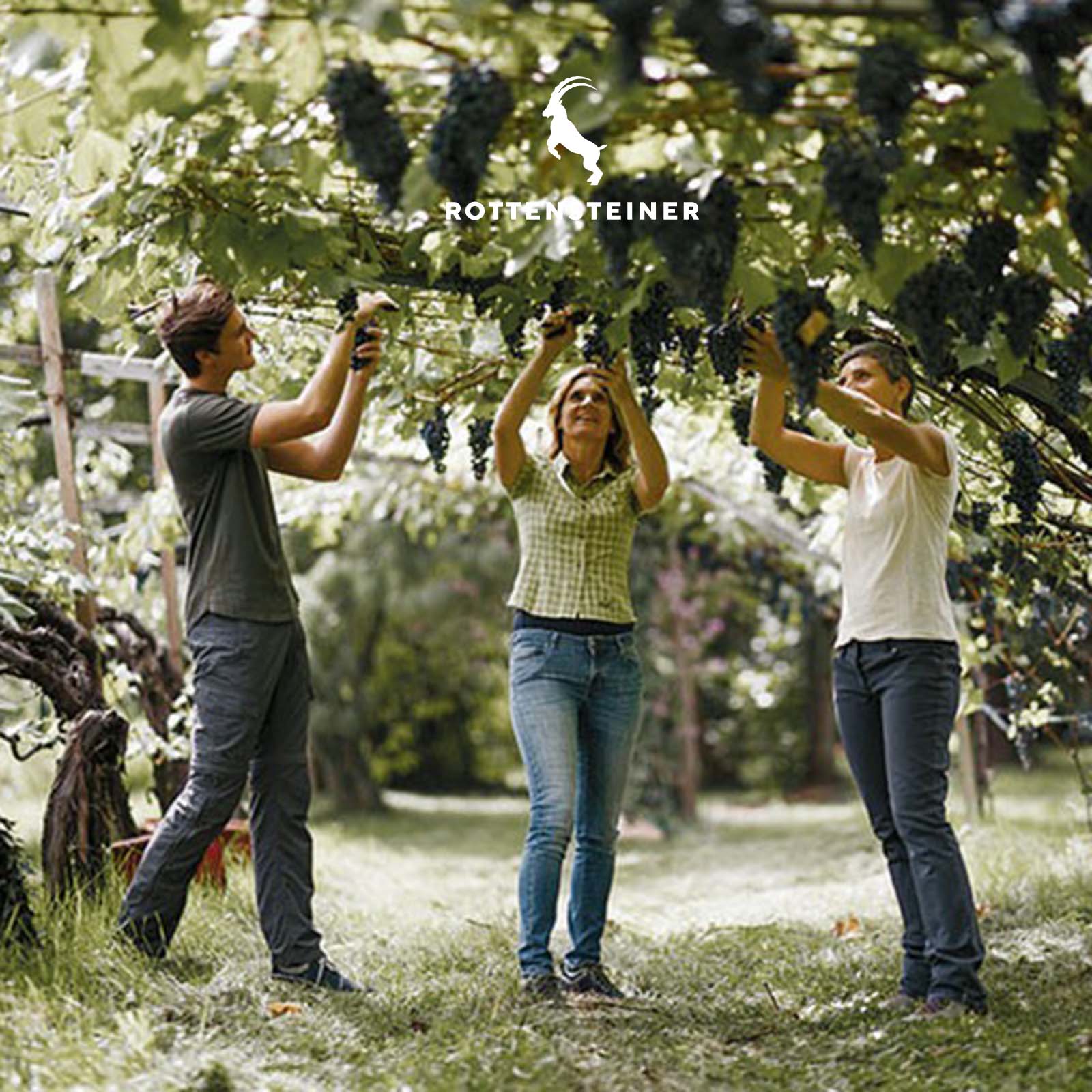 Lagrein Riserva 2022 Trigon (Lagerschaden)