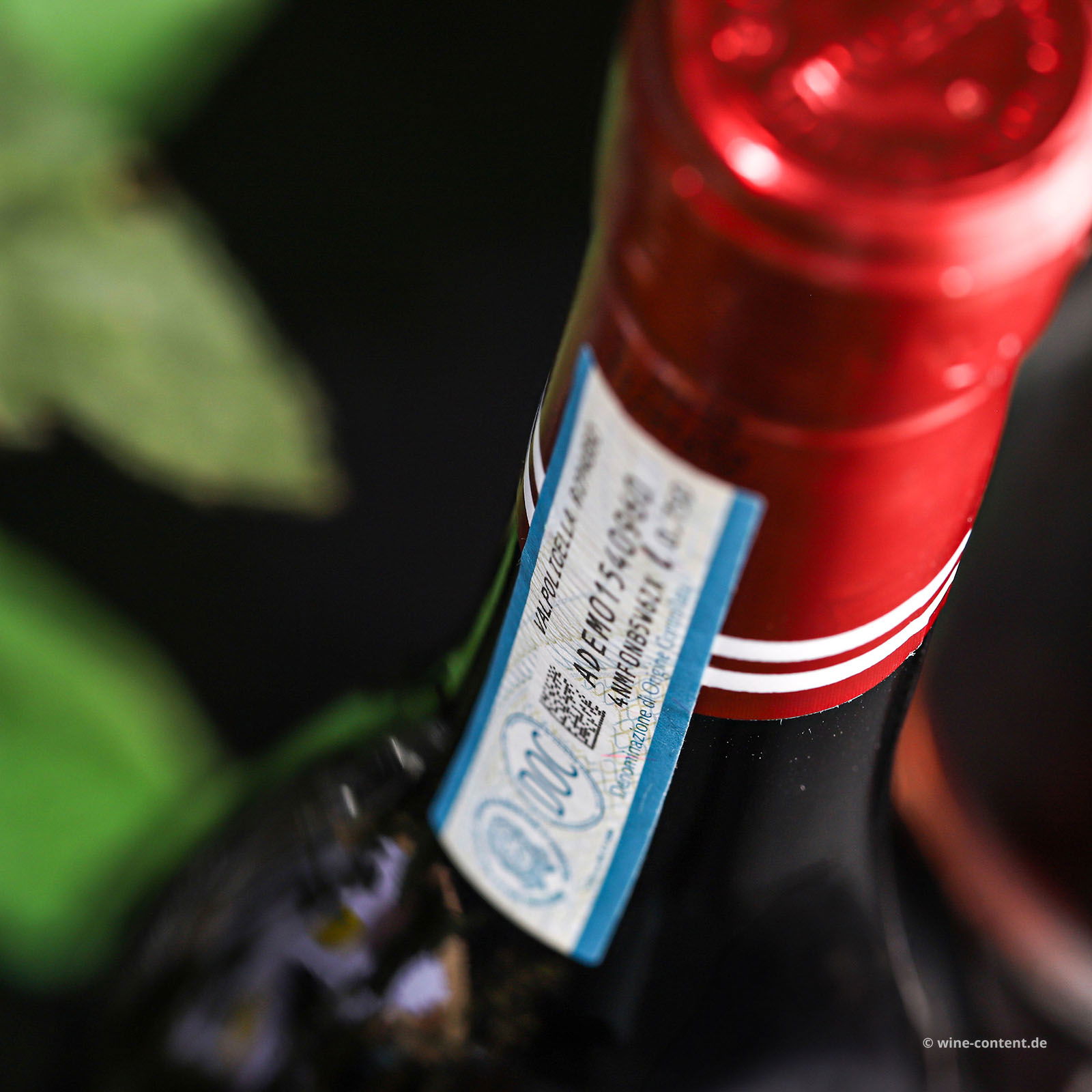 Valpolicella Ripasso Valpantena 2021