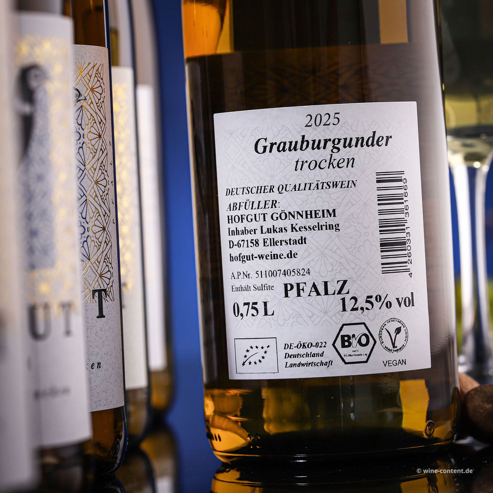 6er-Sparpaket Grauburgunder 2025 Gönnheim Bio