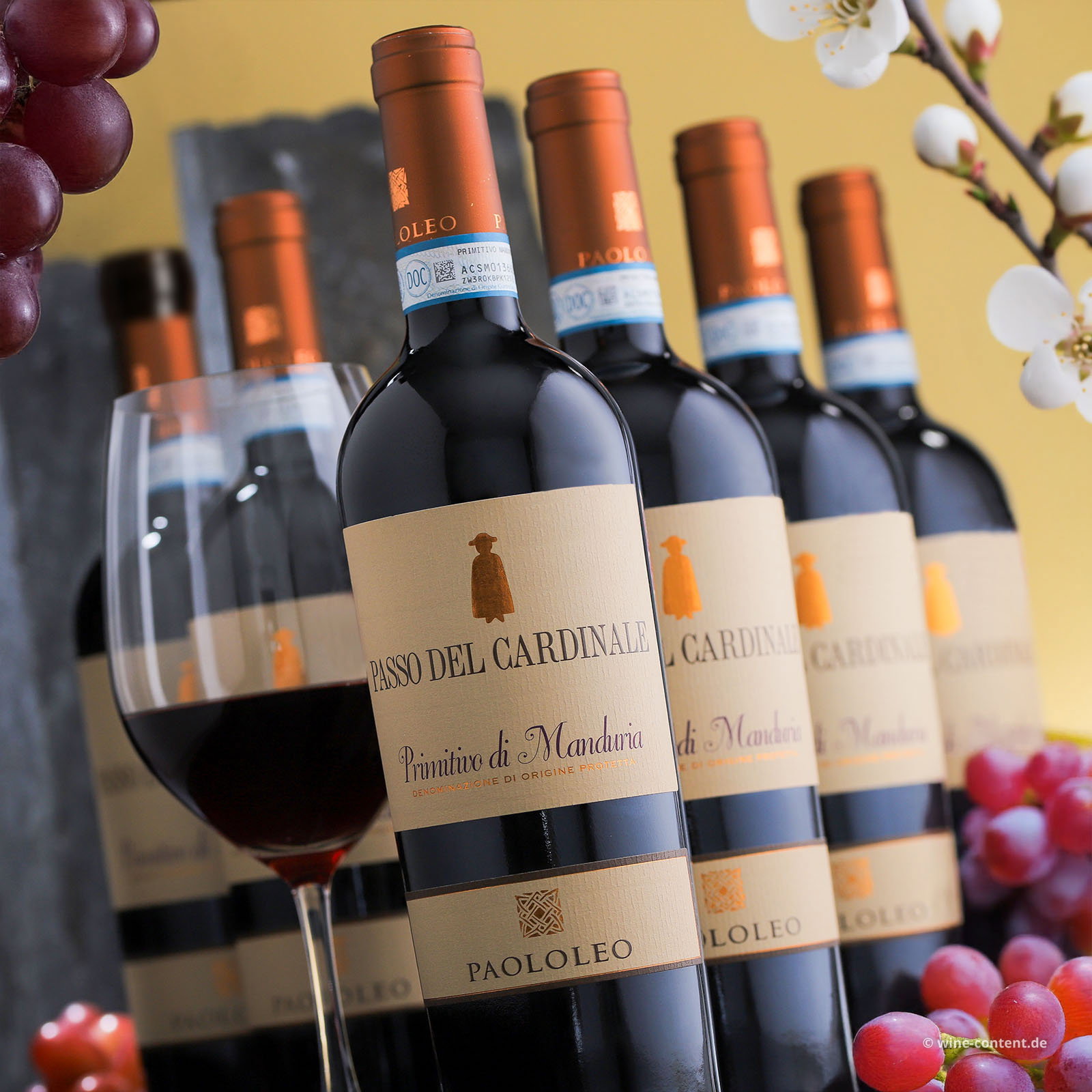 6er-Sparpaket Primitivo di Manduria 2024 Passo del Cardinale